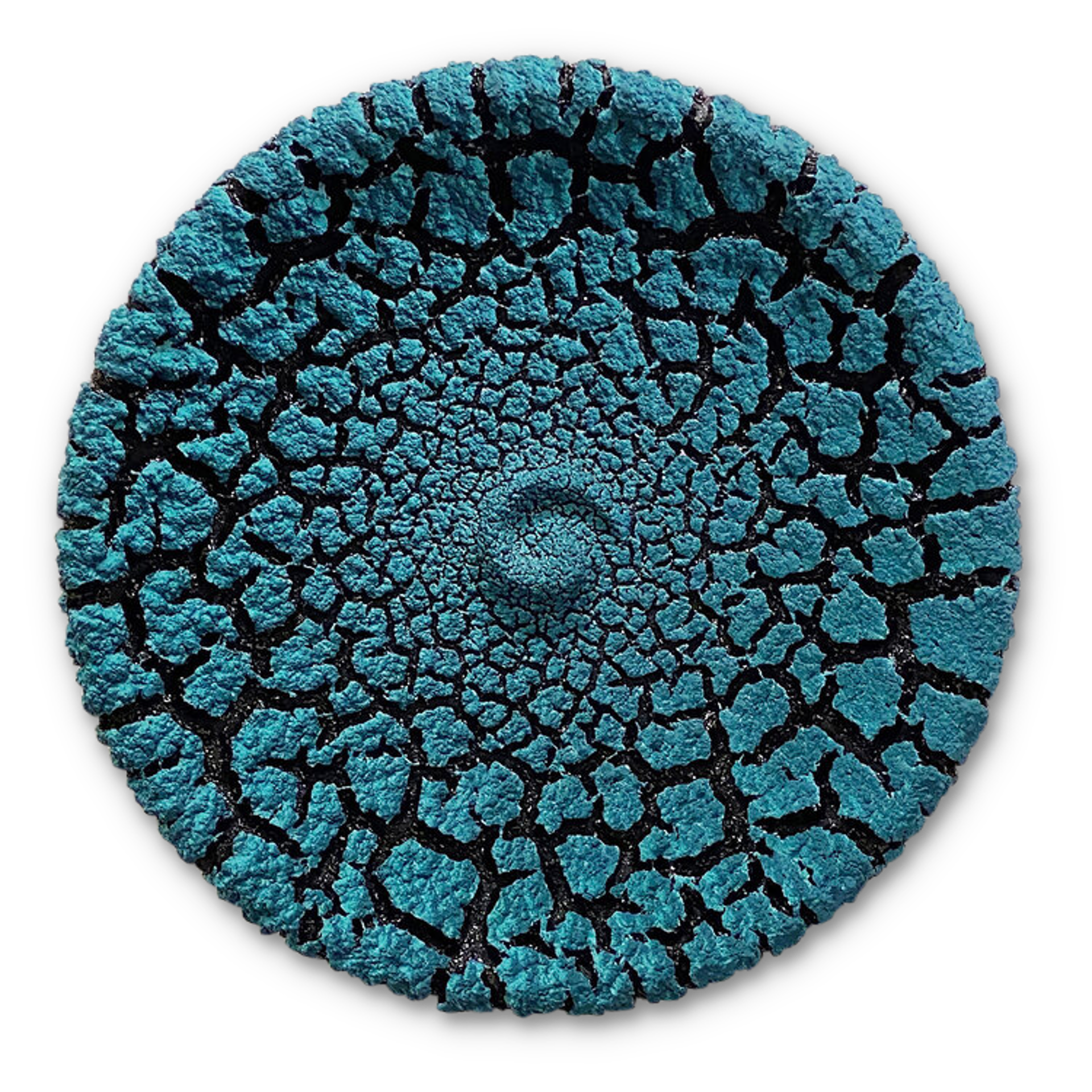 12" Lichen Platter ~ Color Choices Available by Randy O'Brien
