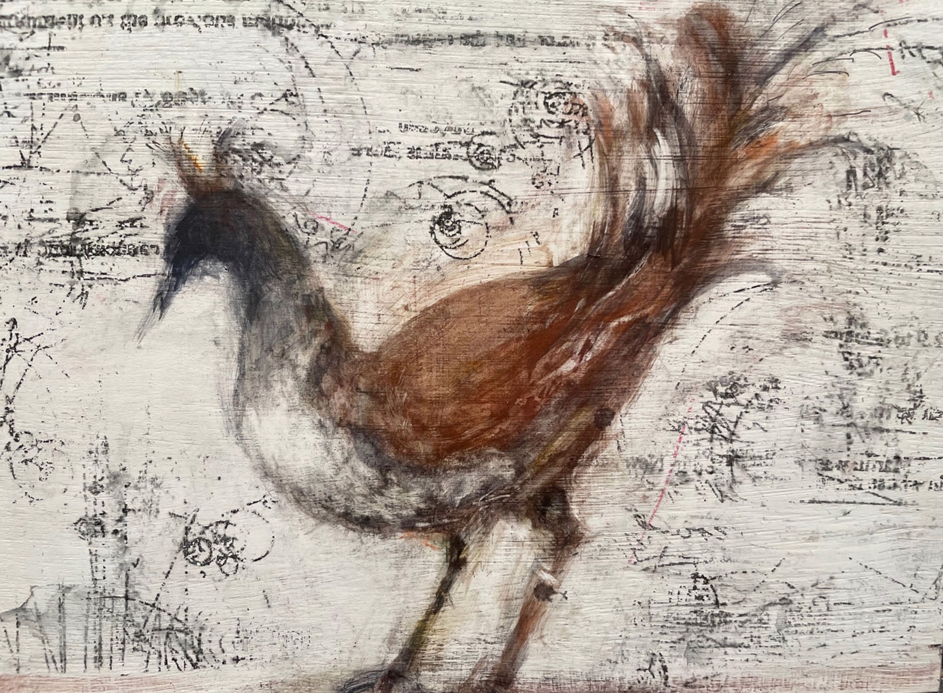 Bird by Alicia Rothman