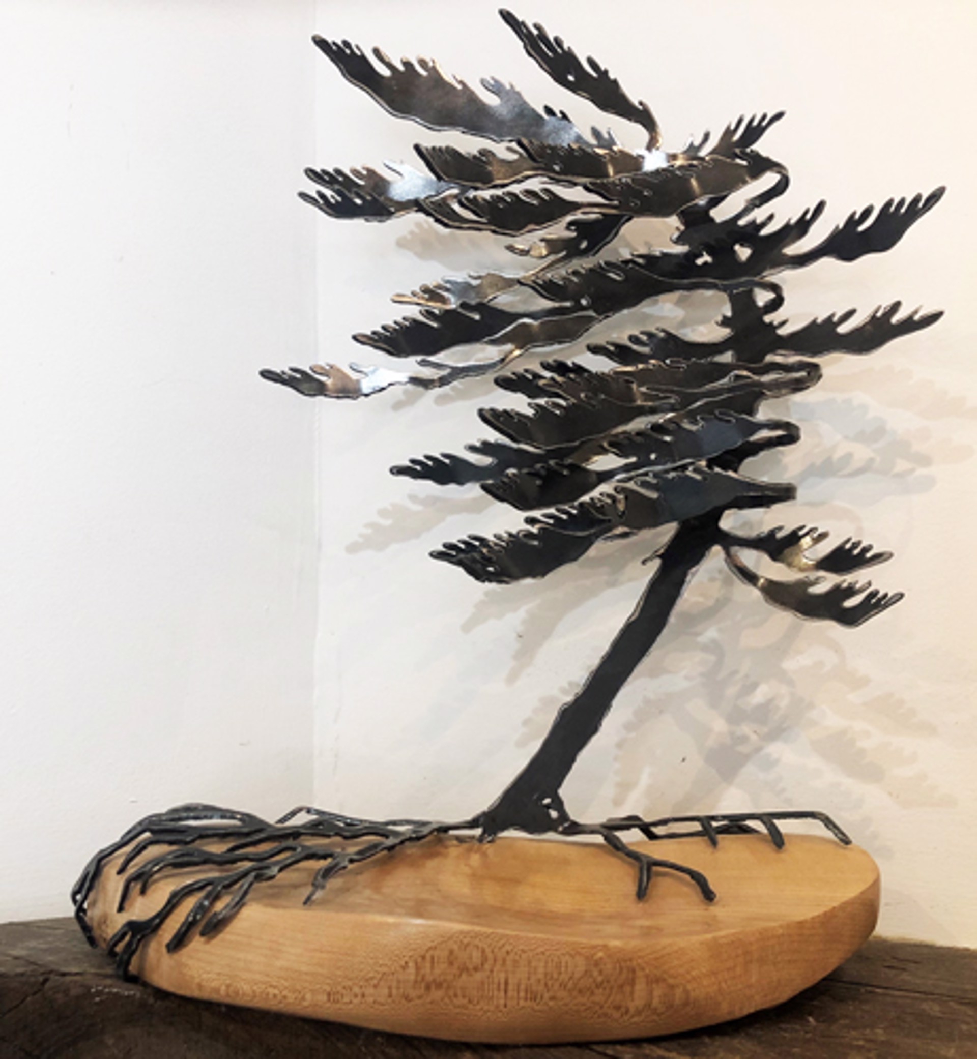 Windswept Pine on Maple 659906 by Cathy Mark