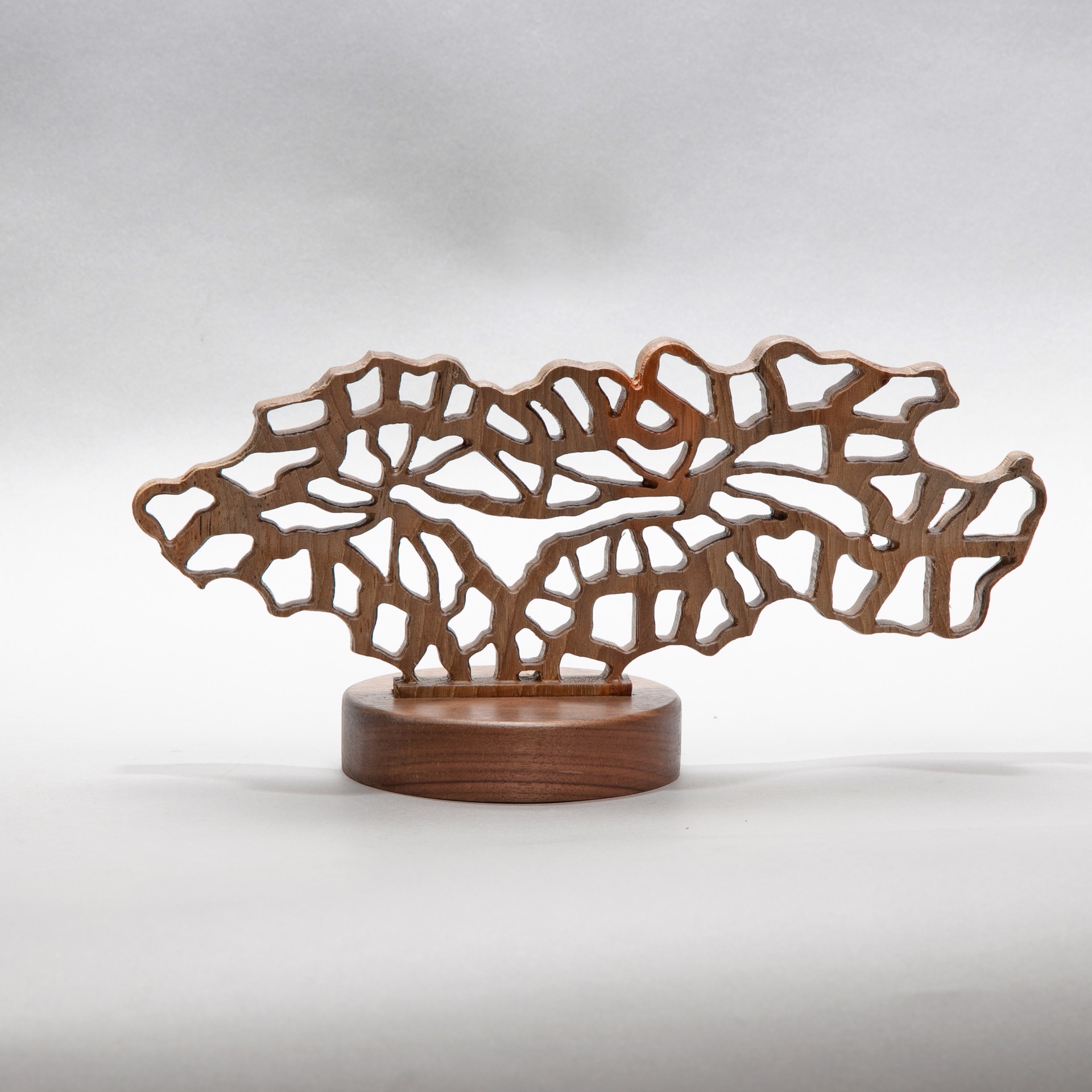 Venation #3 by Dana Younger