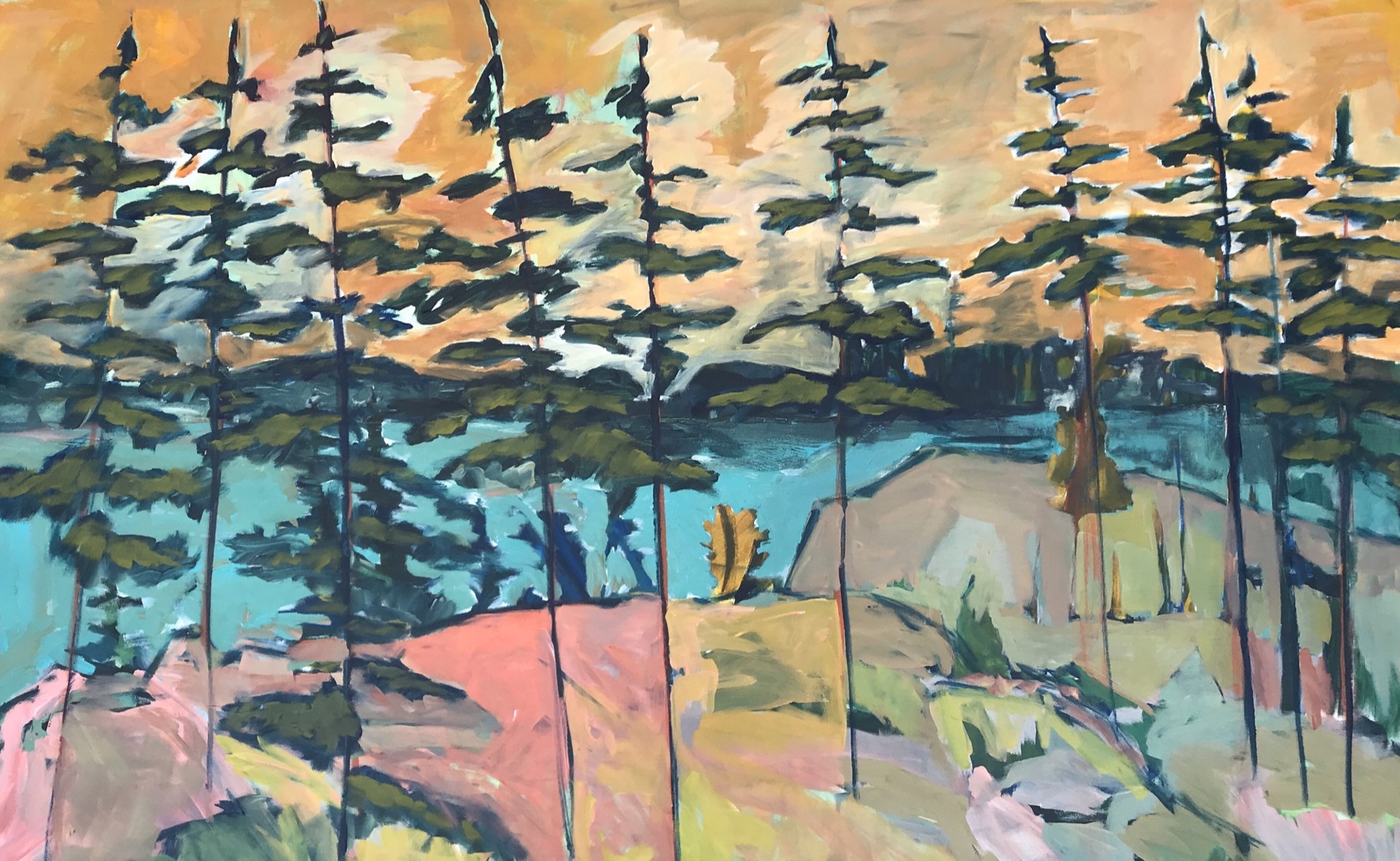 Pines and Pink Granite, Acadia National Park by Rachael Van Dyke