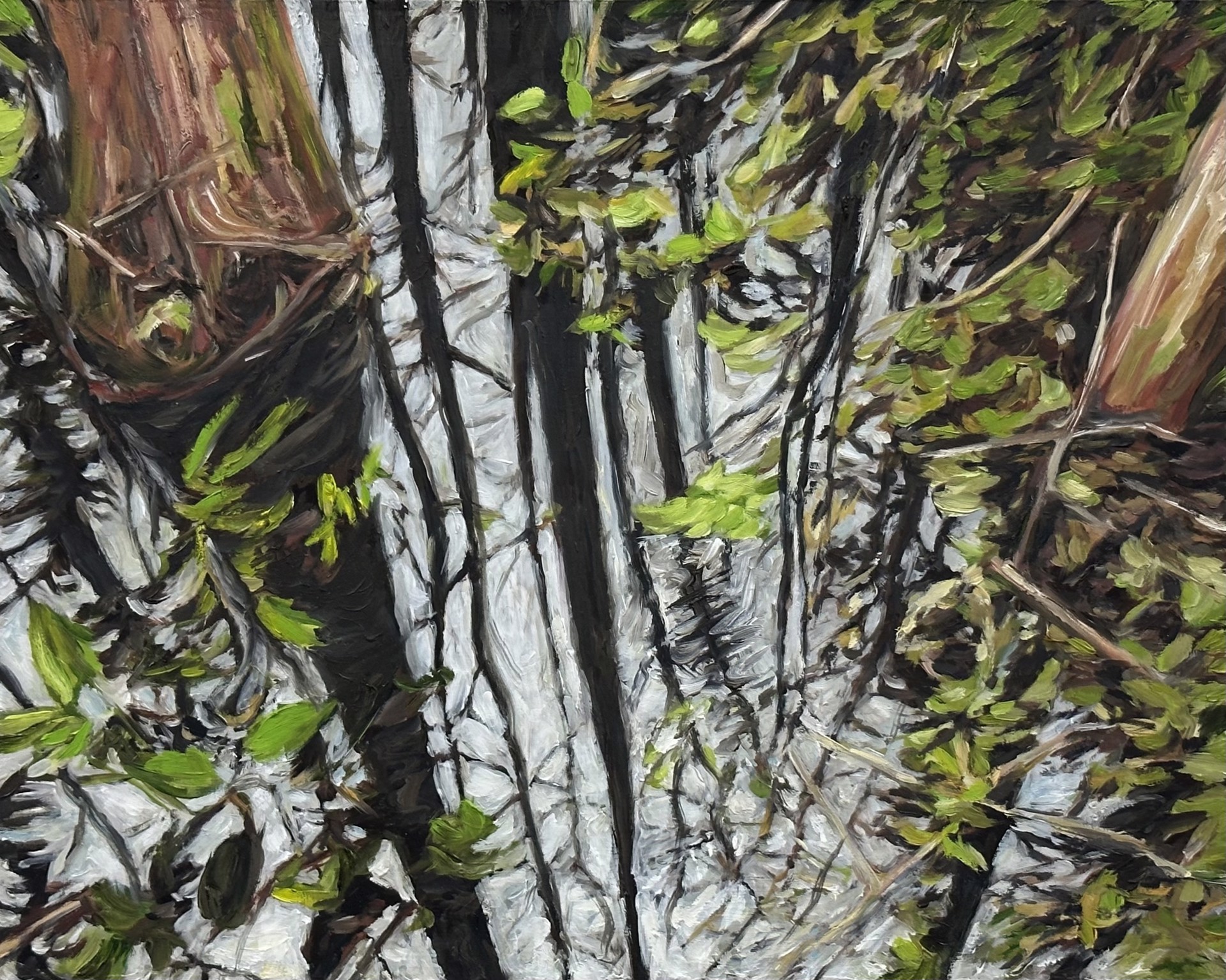 Corkscrew Swamp 1 by Valerie Eickmeier