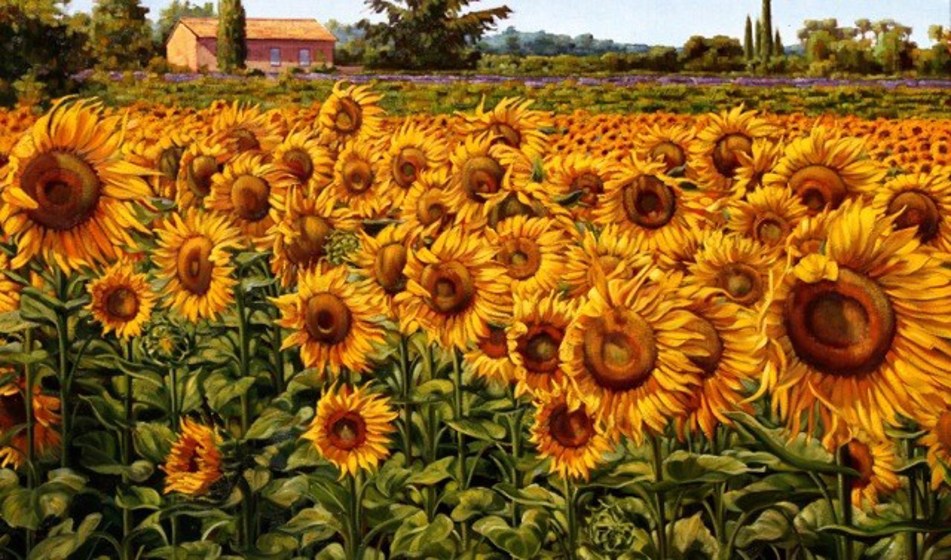 Sunflowers In A Summer Breeze - SOLD by Commission Possibilities / Previously Sold ZX