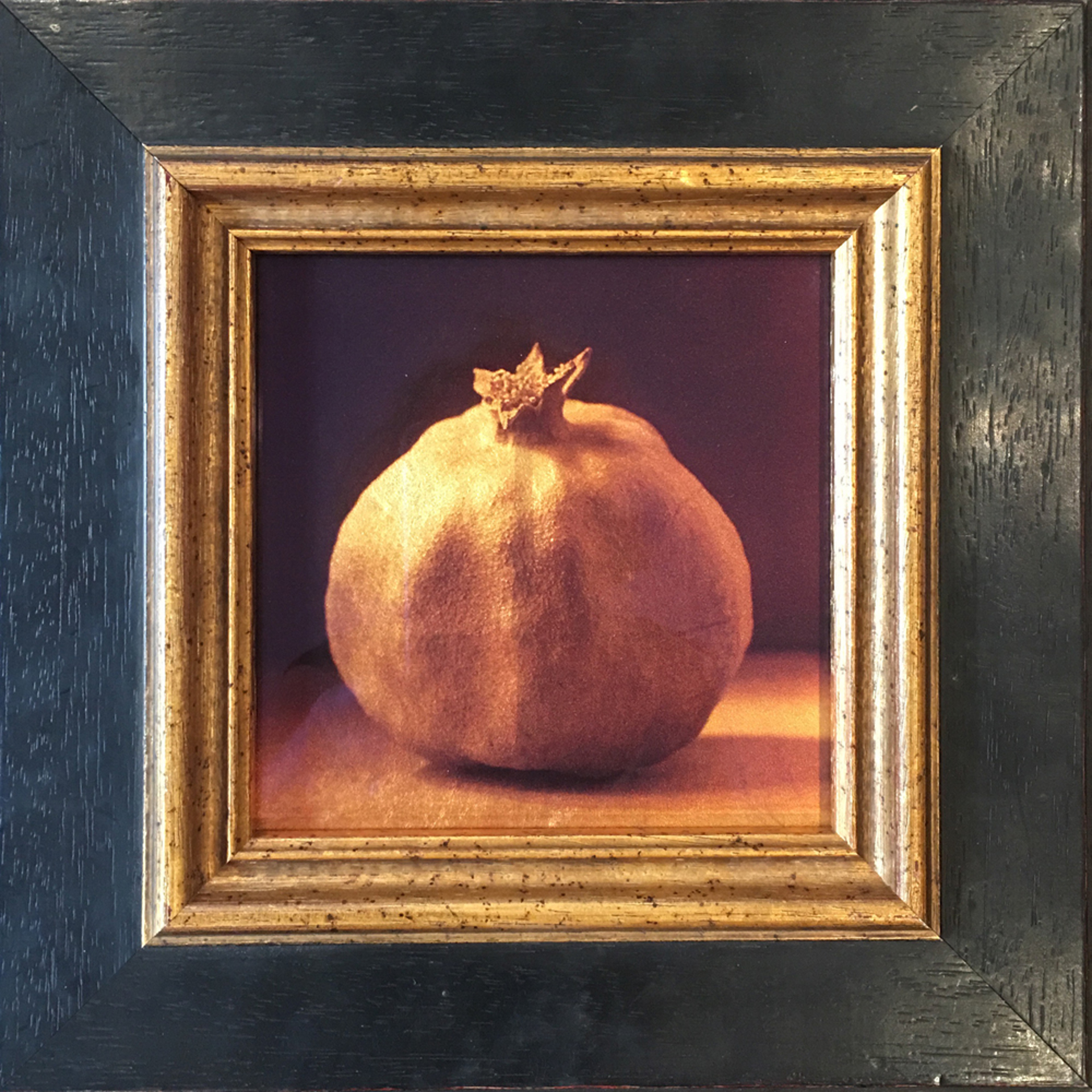 Pomegranate by Kate Breakey