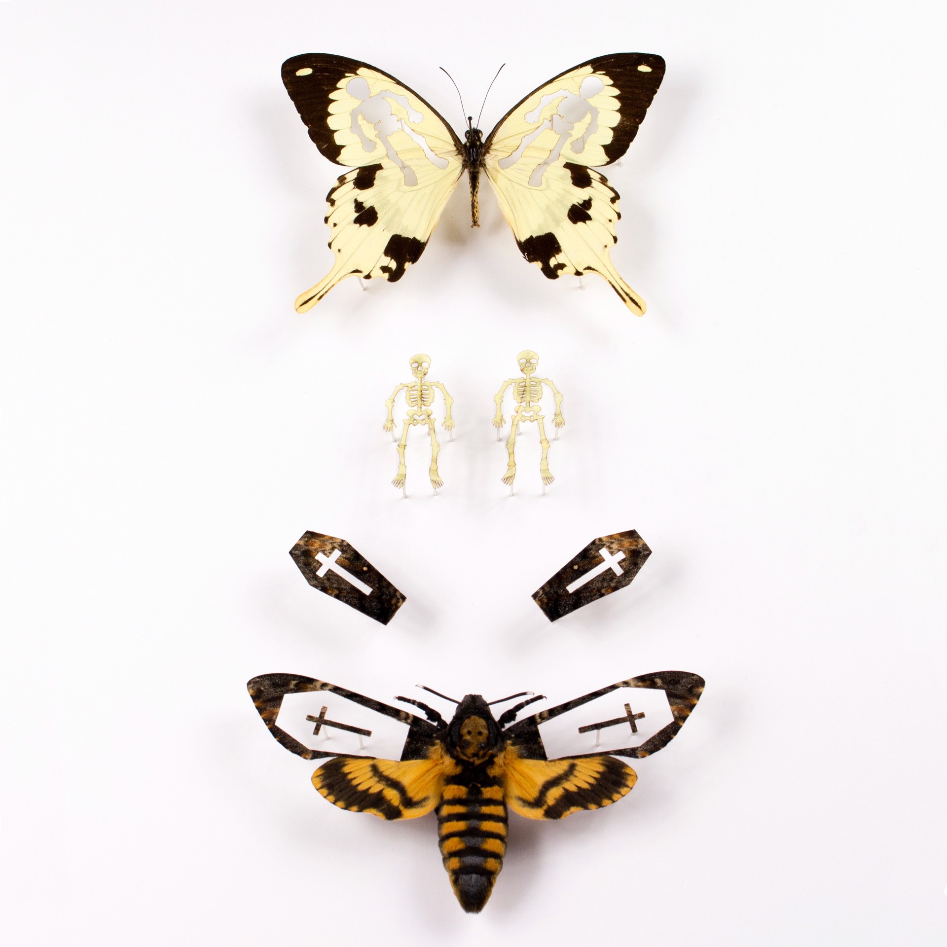 Momento Mori by Fiona Parkinson
