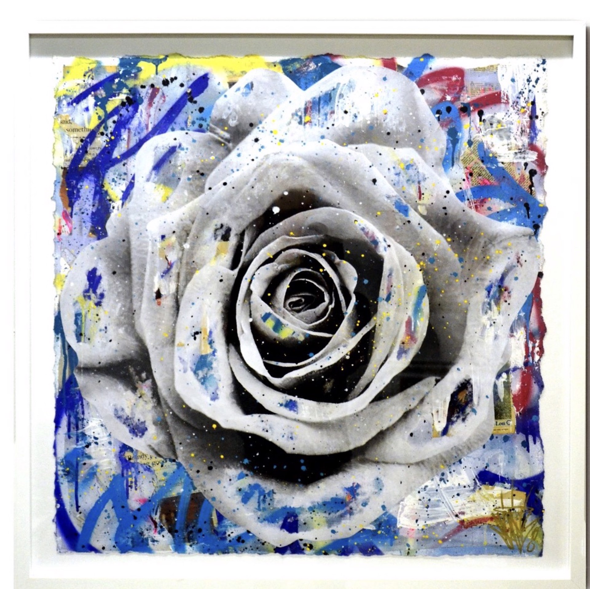 Rose by THE WHITE ROOM GALLERY