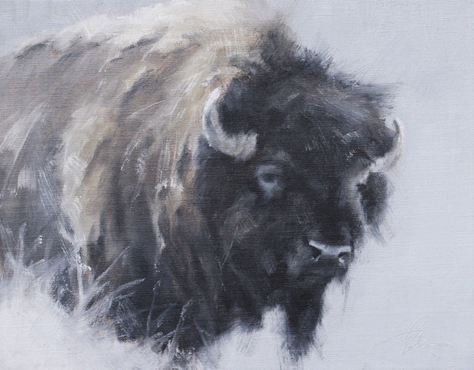 Original Oil Painting Of A Bison With Light Grey Background