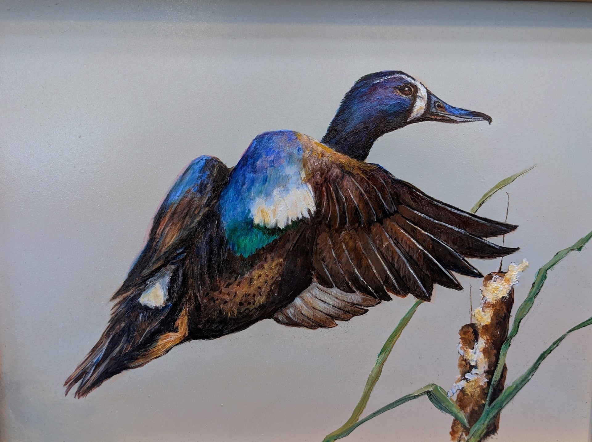 Blue Winged Teal in Flight - Auction- SOLD by Joe Palmerio