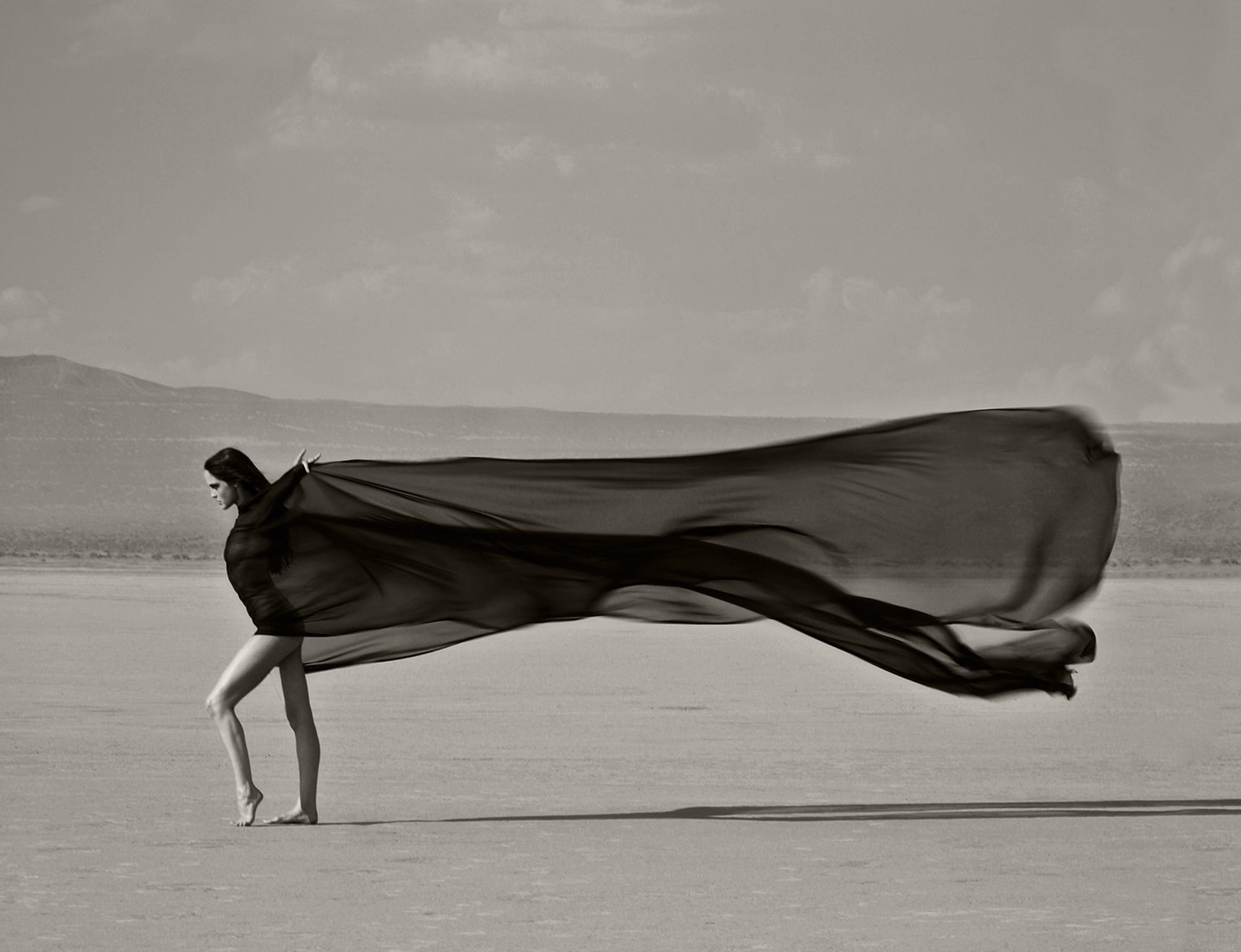 Vanity Wind by Renée Jacobs