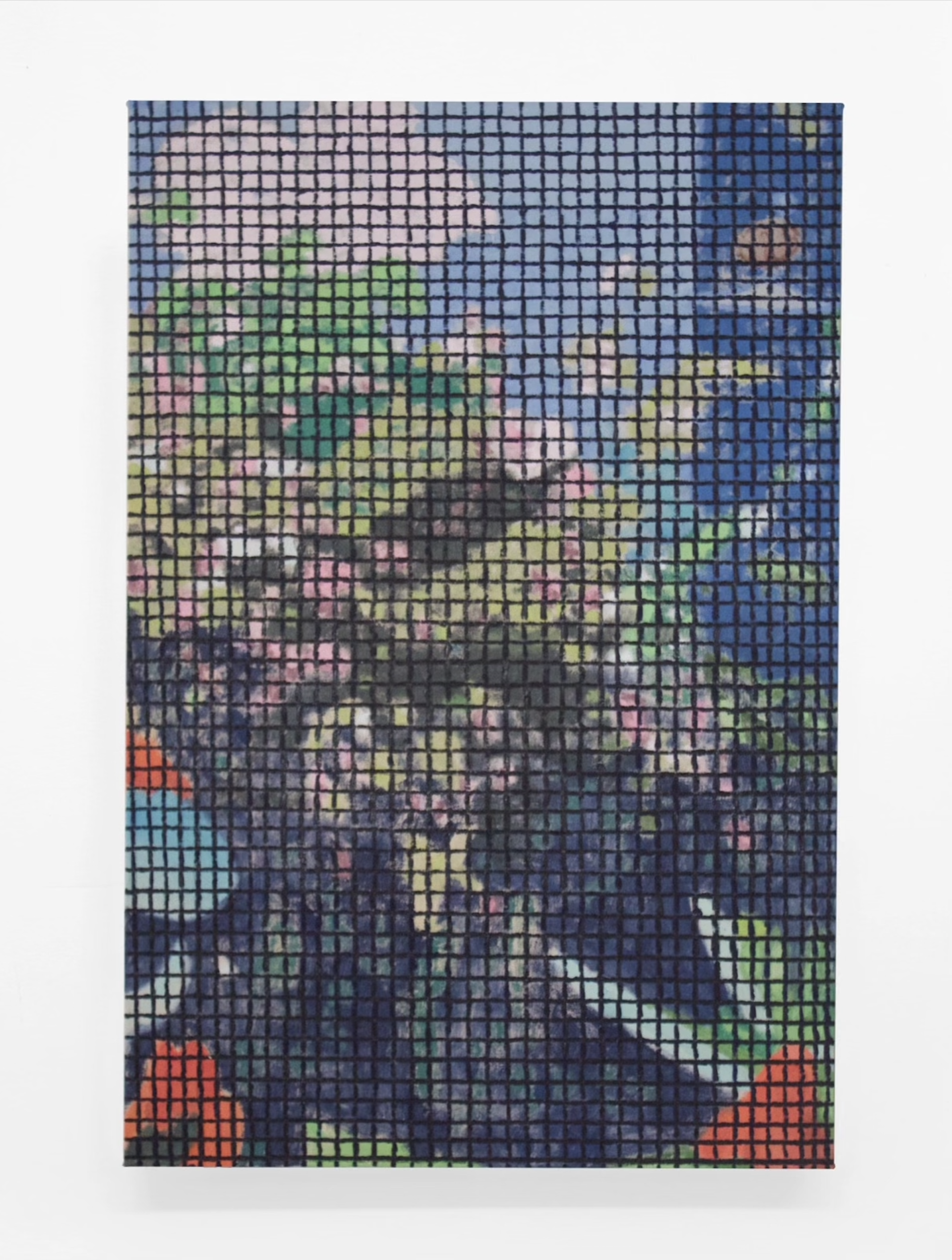 Flowers (Through a Screen) by Bradley Kerl