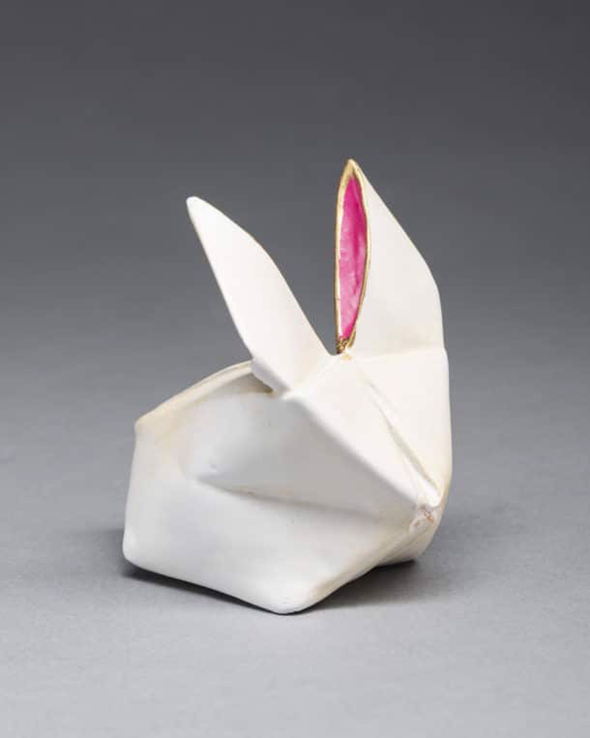 White Rabbit by KEVIN BOX