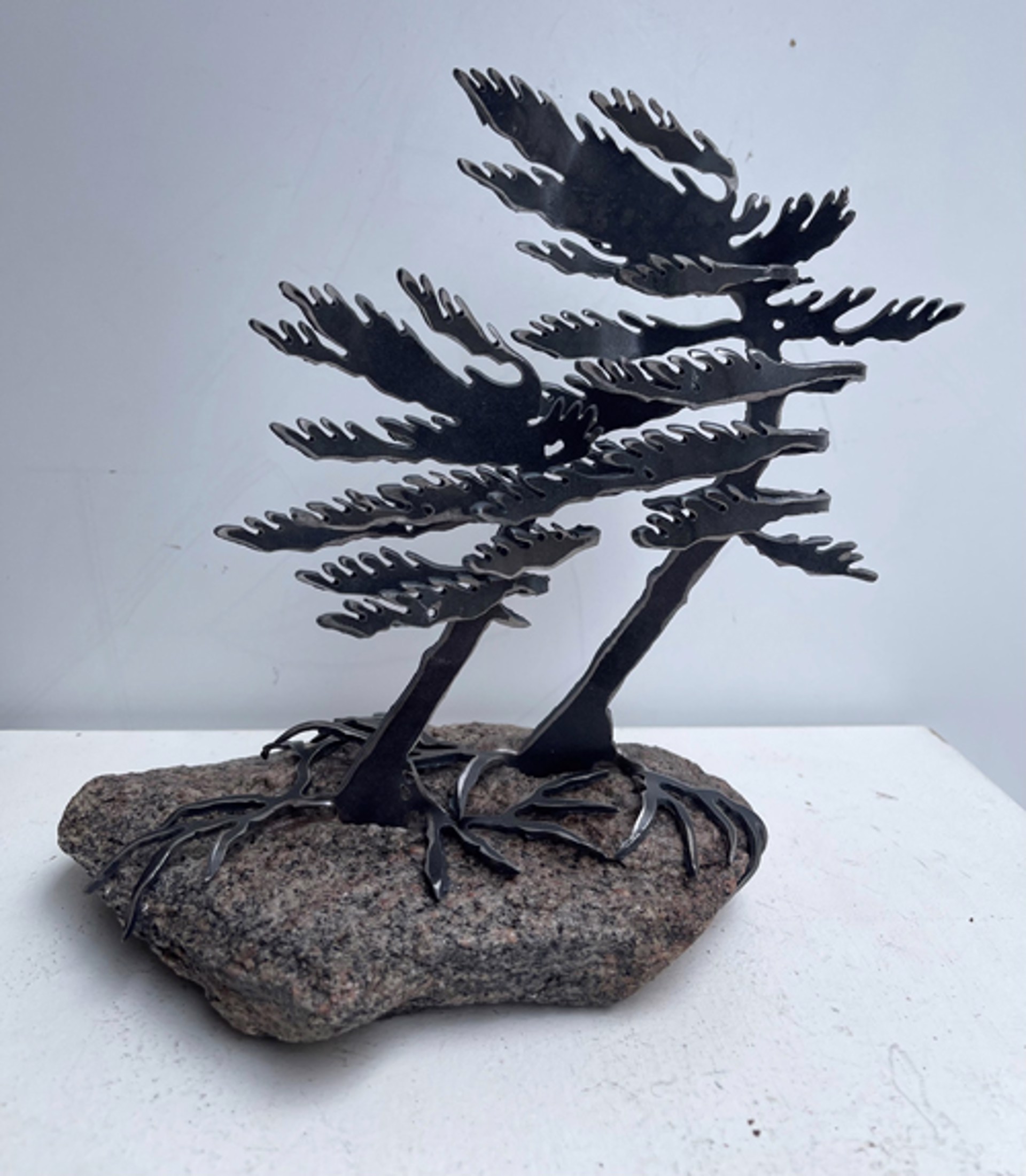Two Tree on Rock by Cathy Mark