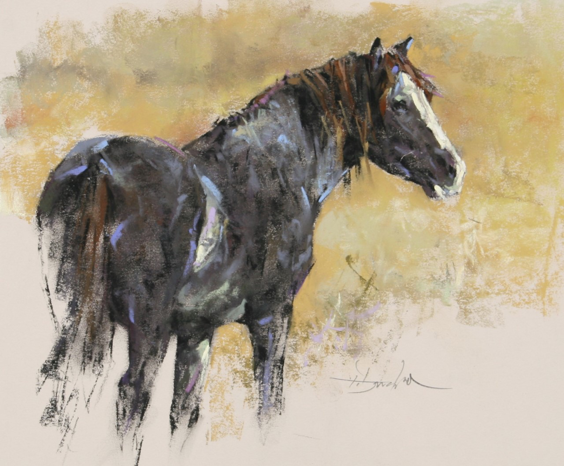 Grey Stallion by Terry Donahue