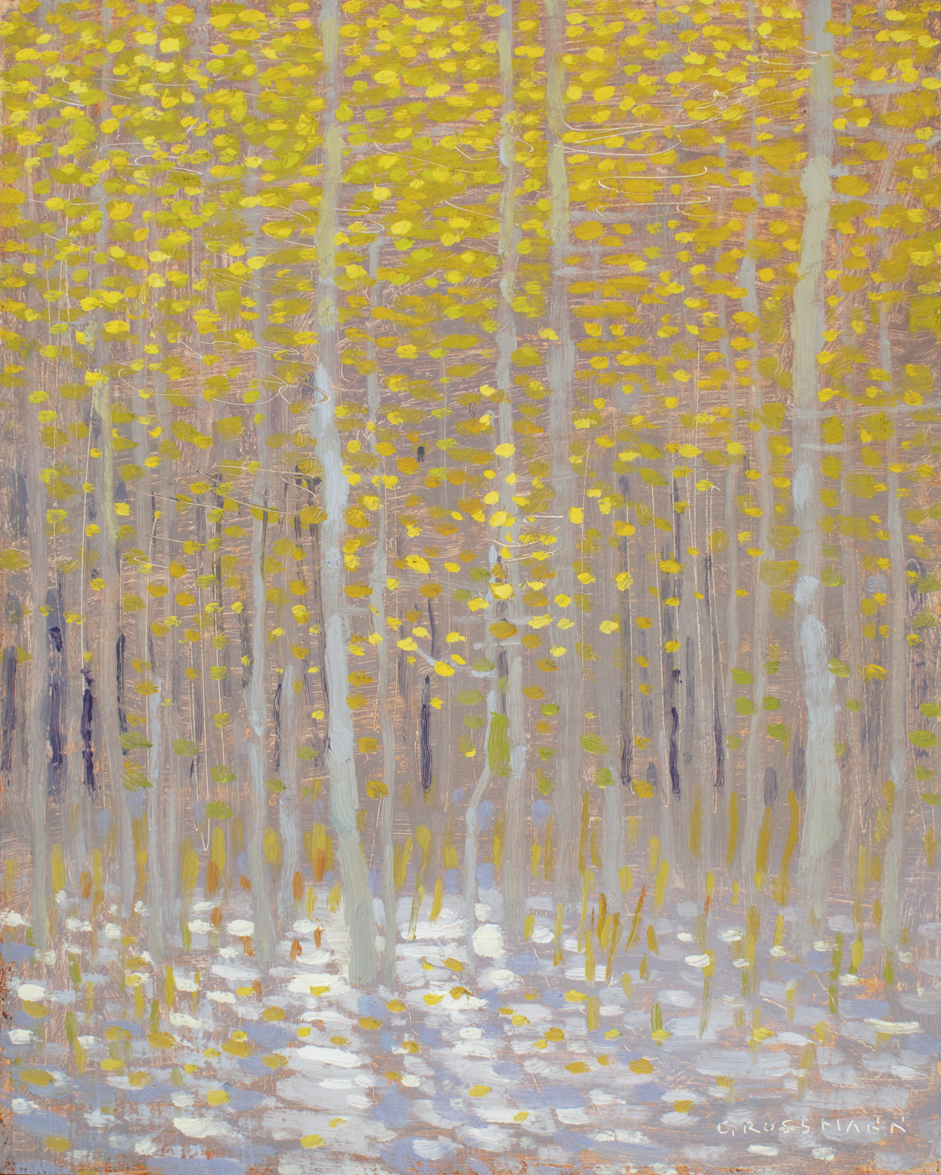 Snow and Sunlit Leaves by David Grossmann