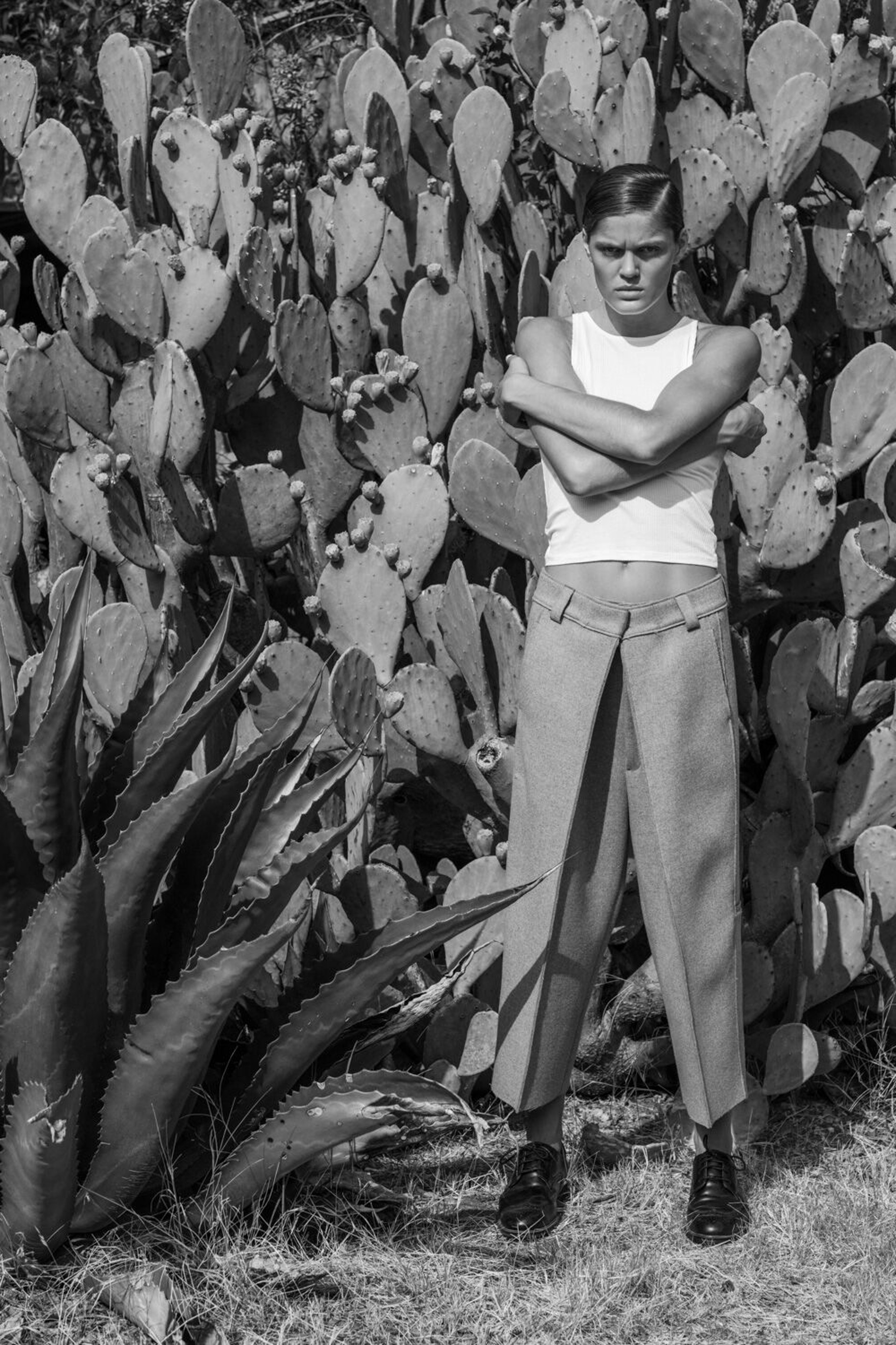Rebekah Cactus by Thom Jackson
