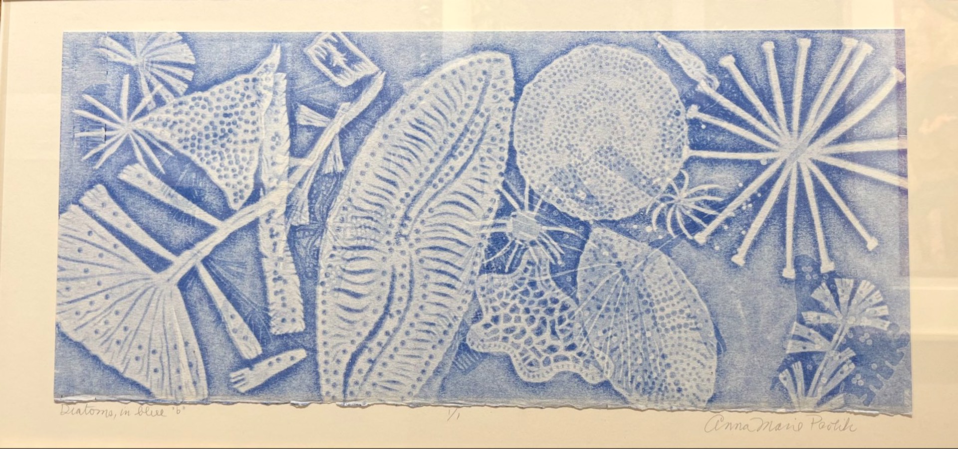 Diatoms, in Blue by Anna Marie Pavlik