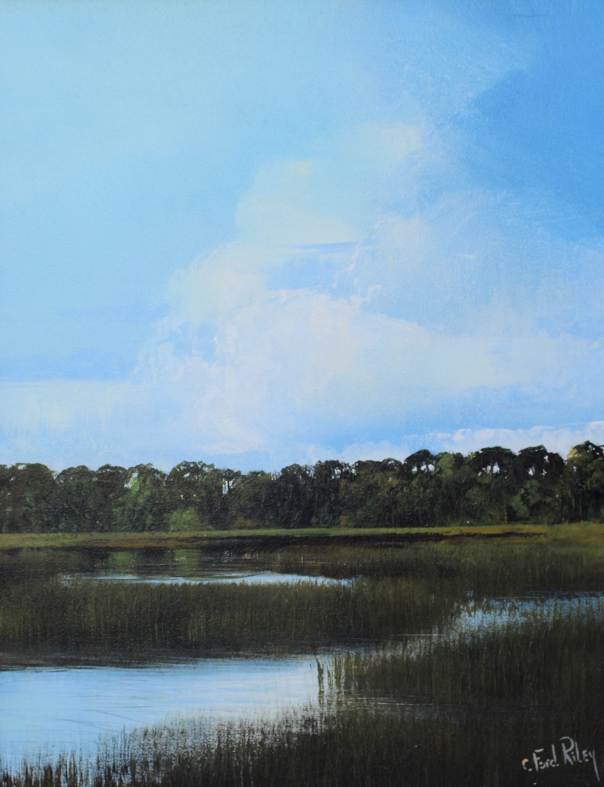 Myakka Marsh and Grasses by C. Ford Riley