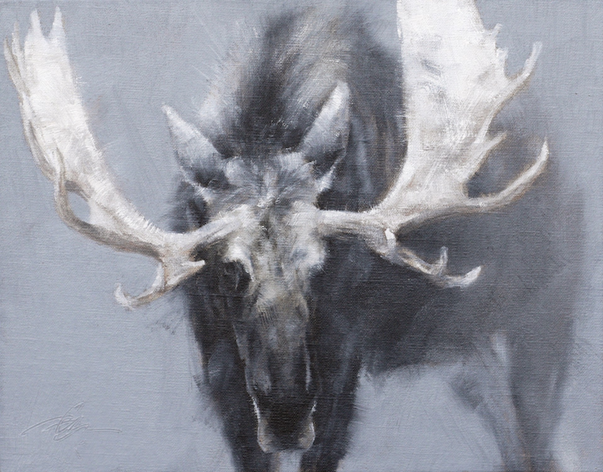 Original Oil Painting Of A Bull Moose With His Head Lowered Facing The Viewer In Grey Scale