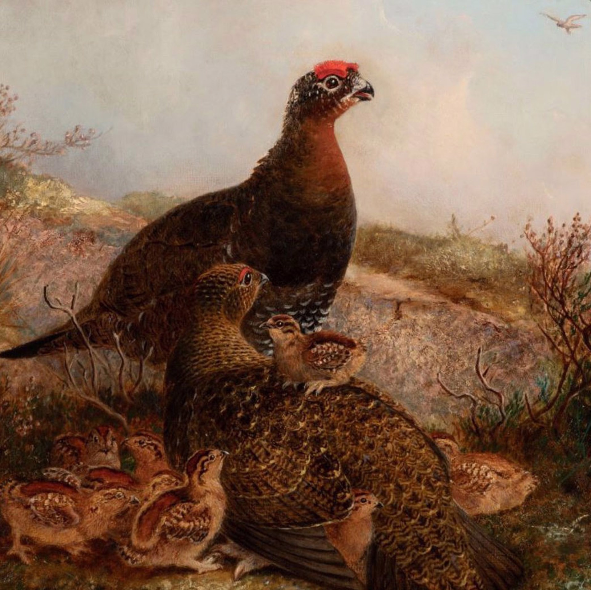 Family of Grouse by Edward Neale