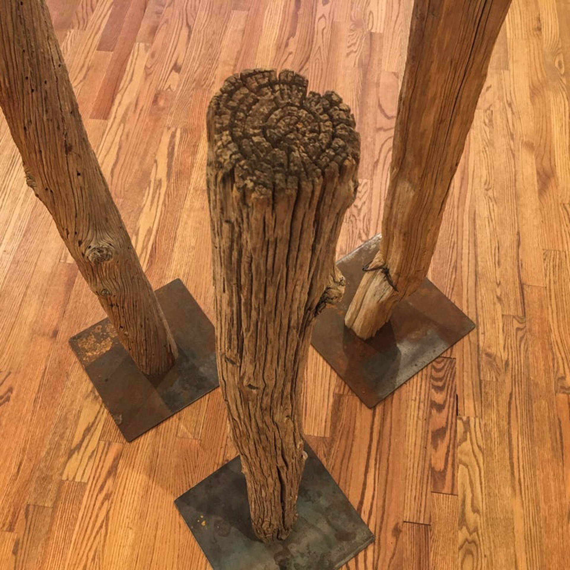 Outposts by Susan Scheirbeck