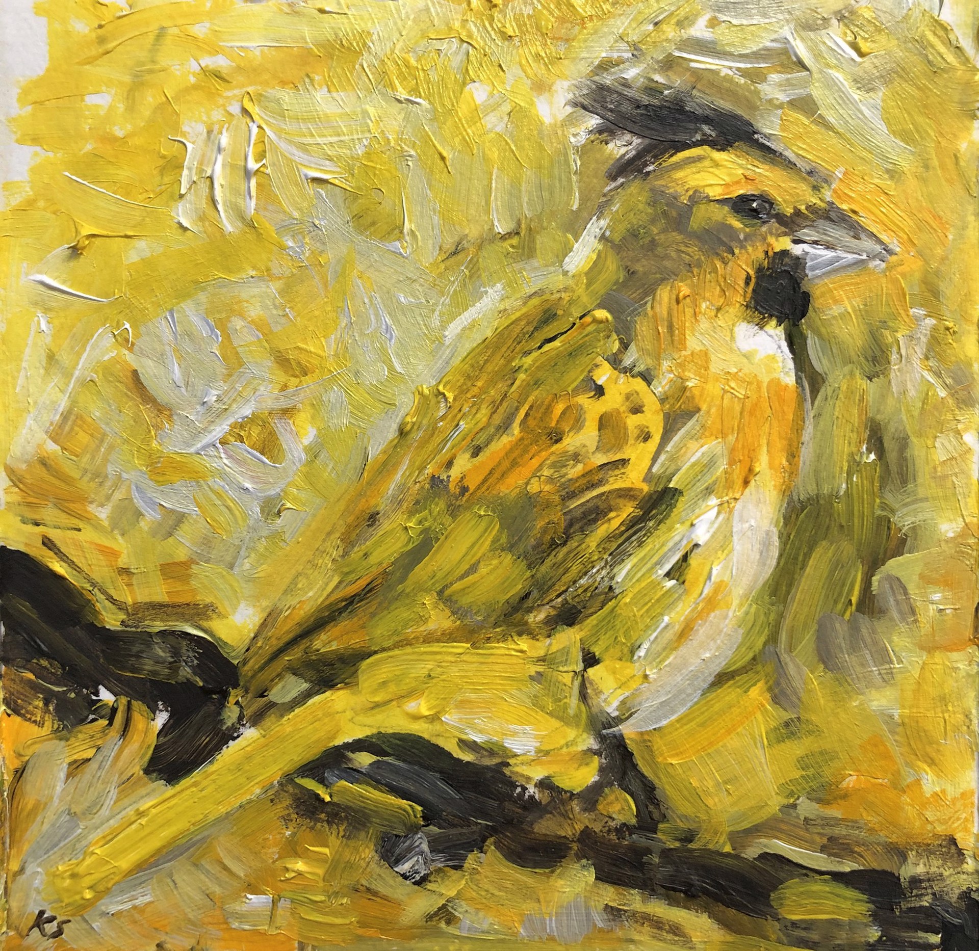 Yellow Cardinal by Ketzia Schoneberg