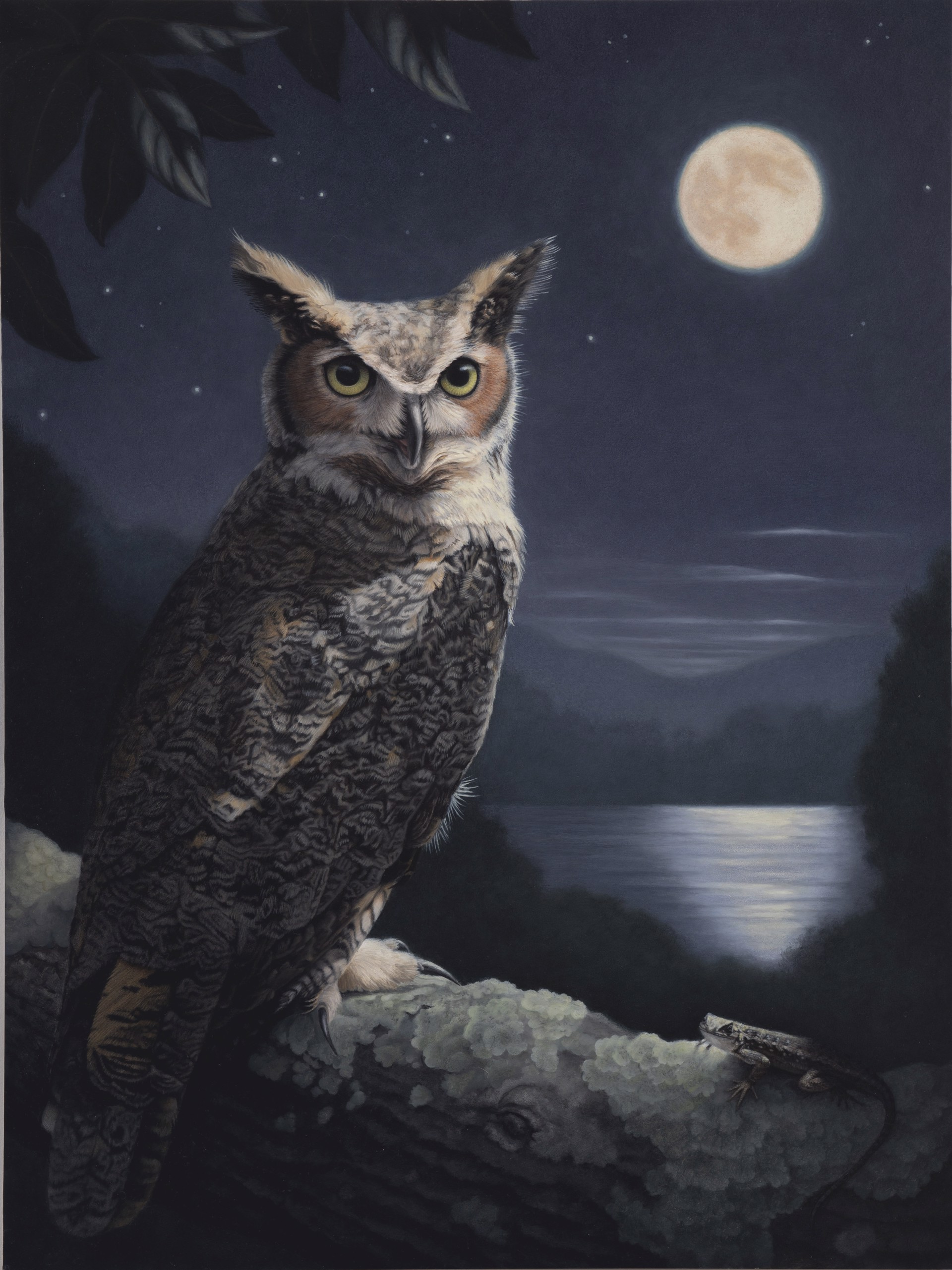 Night Owls by Susan McDonnell