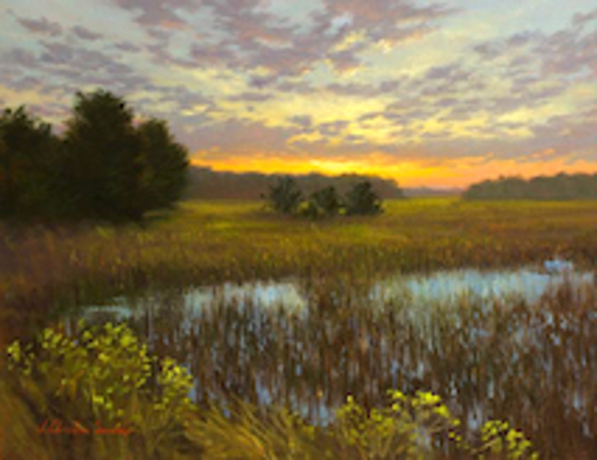 Bohicket Marsh by J. Christian Snedeker