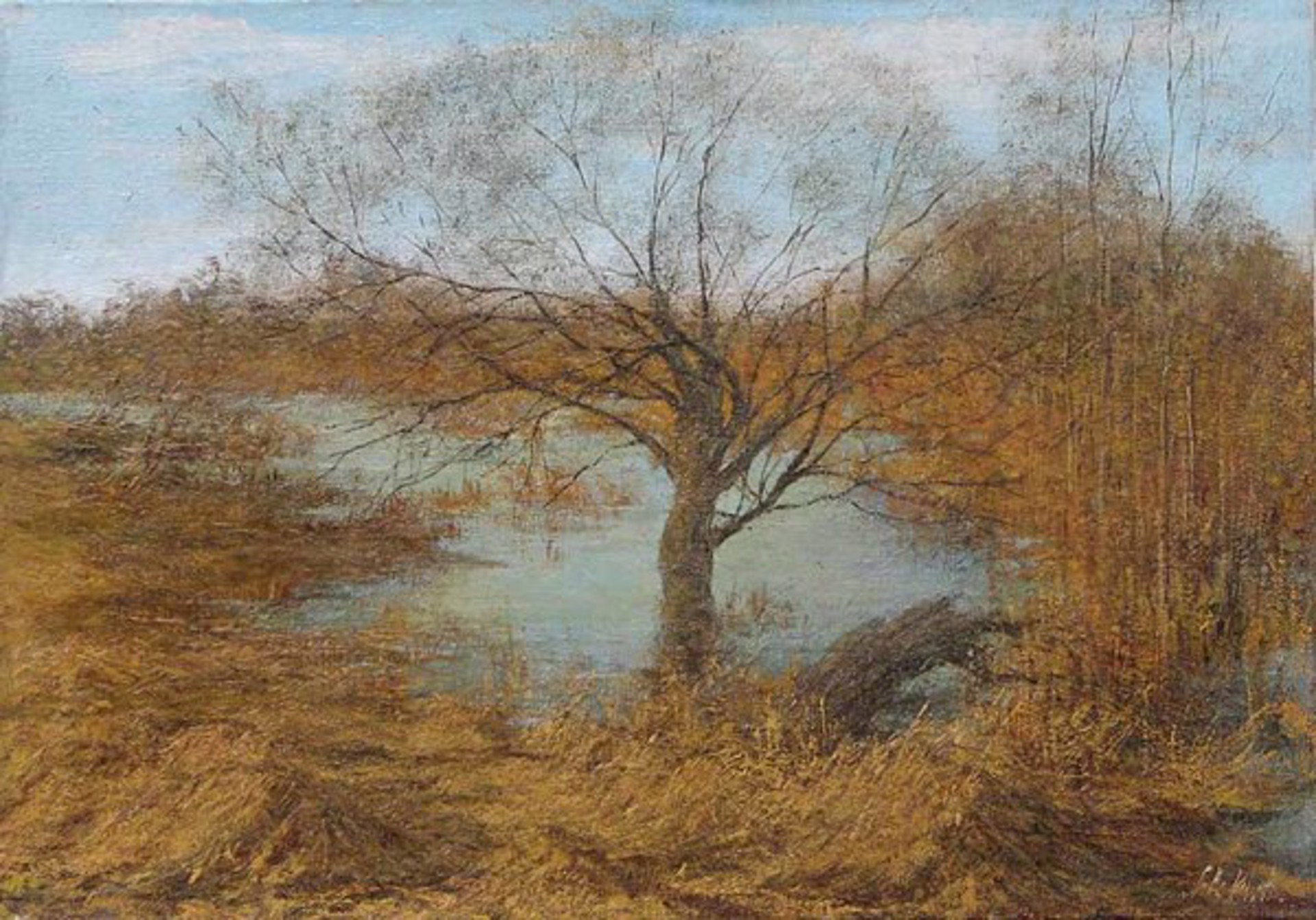 Marsh by Irina Novikova