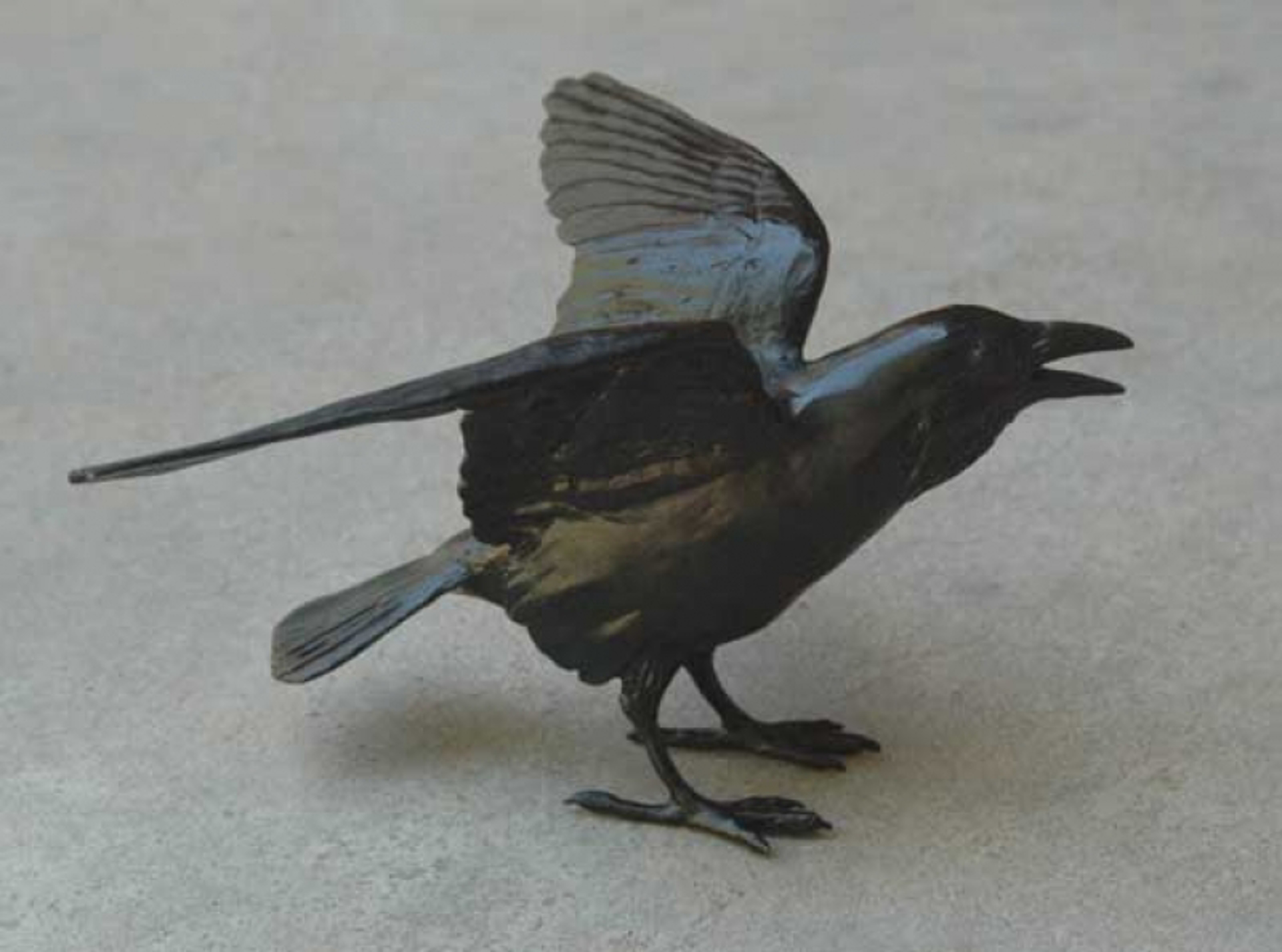 Small Raven V -- 6" by Jim Eppler
