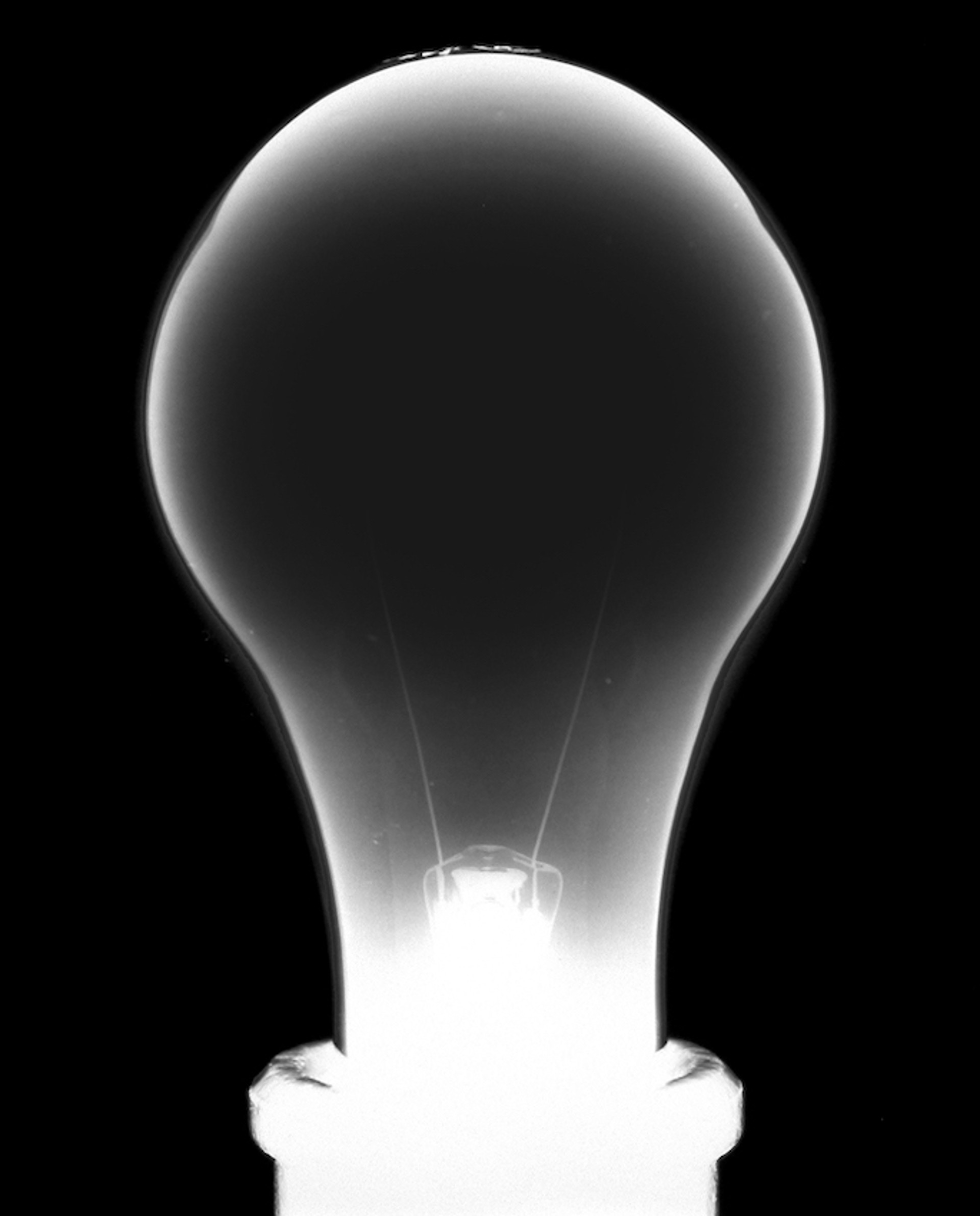 Light Bulb 2 by Amanda Means