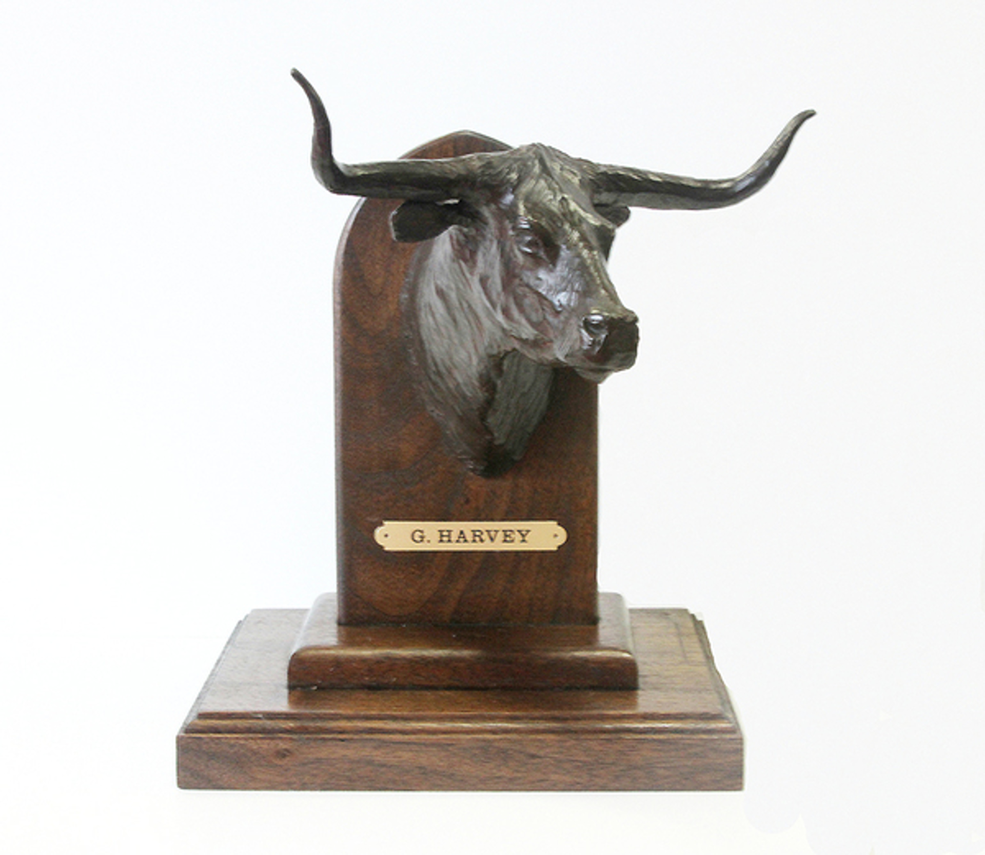 A Texas Breed by G. Harvey