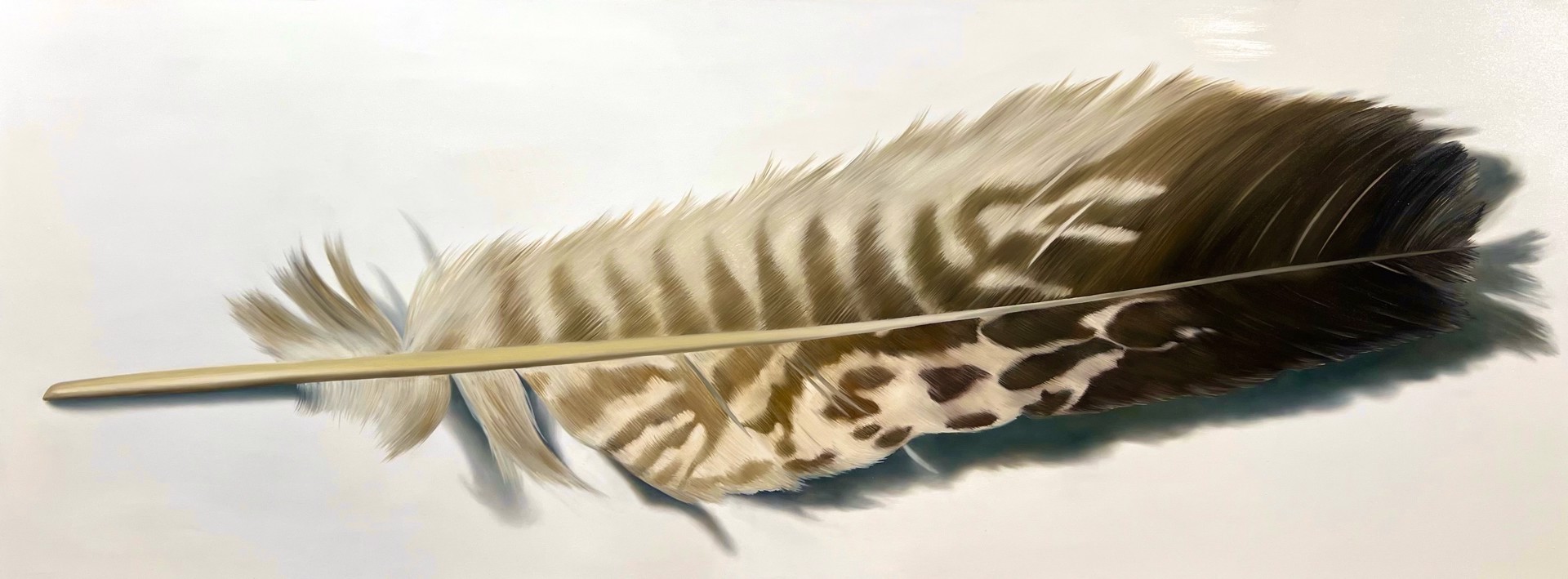 Spotted Feather by Renee Levin