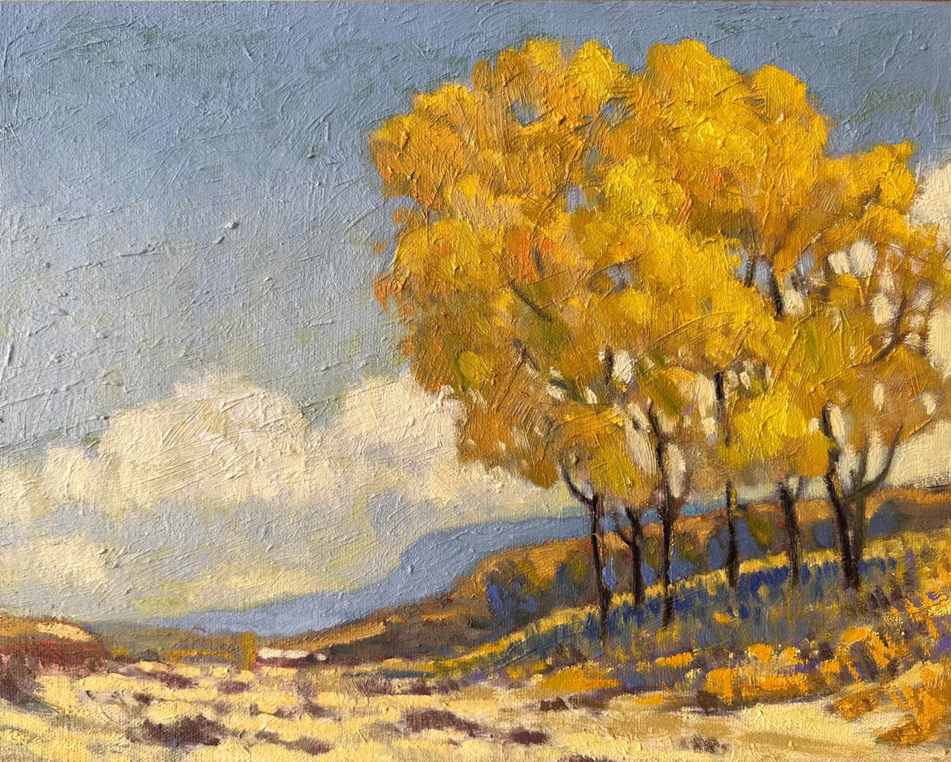 Cottonwoods Over an Arroyo by Kenneth Green