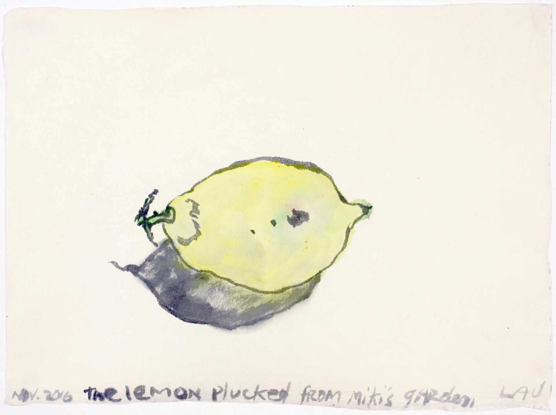 the lemon picked from miki's garden by Alan Lau