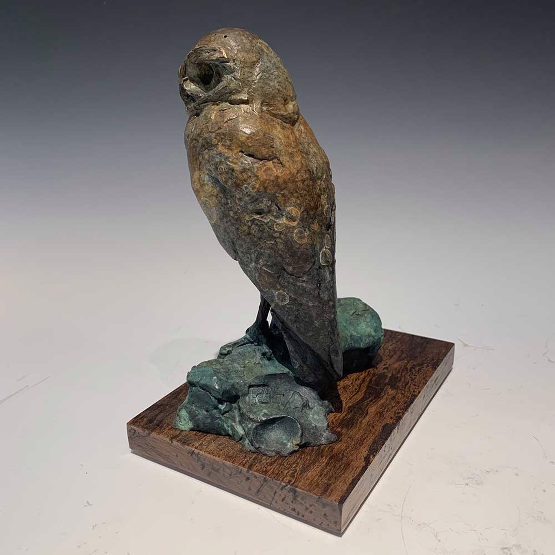 Burrowing Owl by Dan Chen
