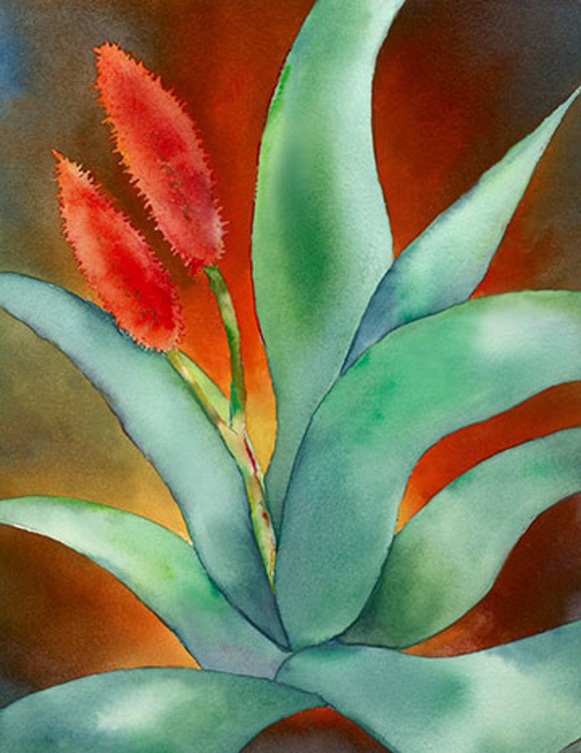 Desert Bloom Giclee by Peter Chope