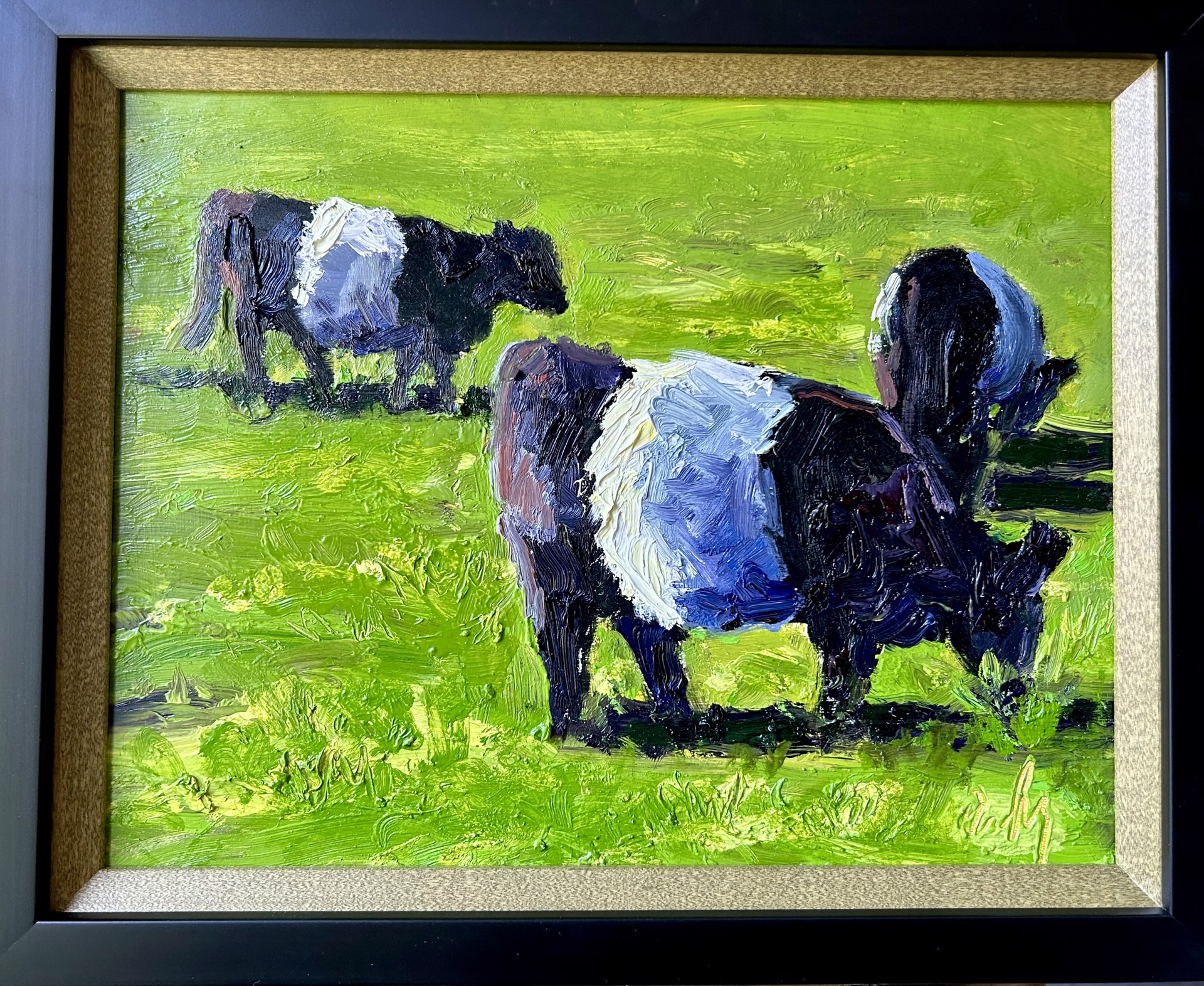 Three Belted Galloways by Dan Daly