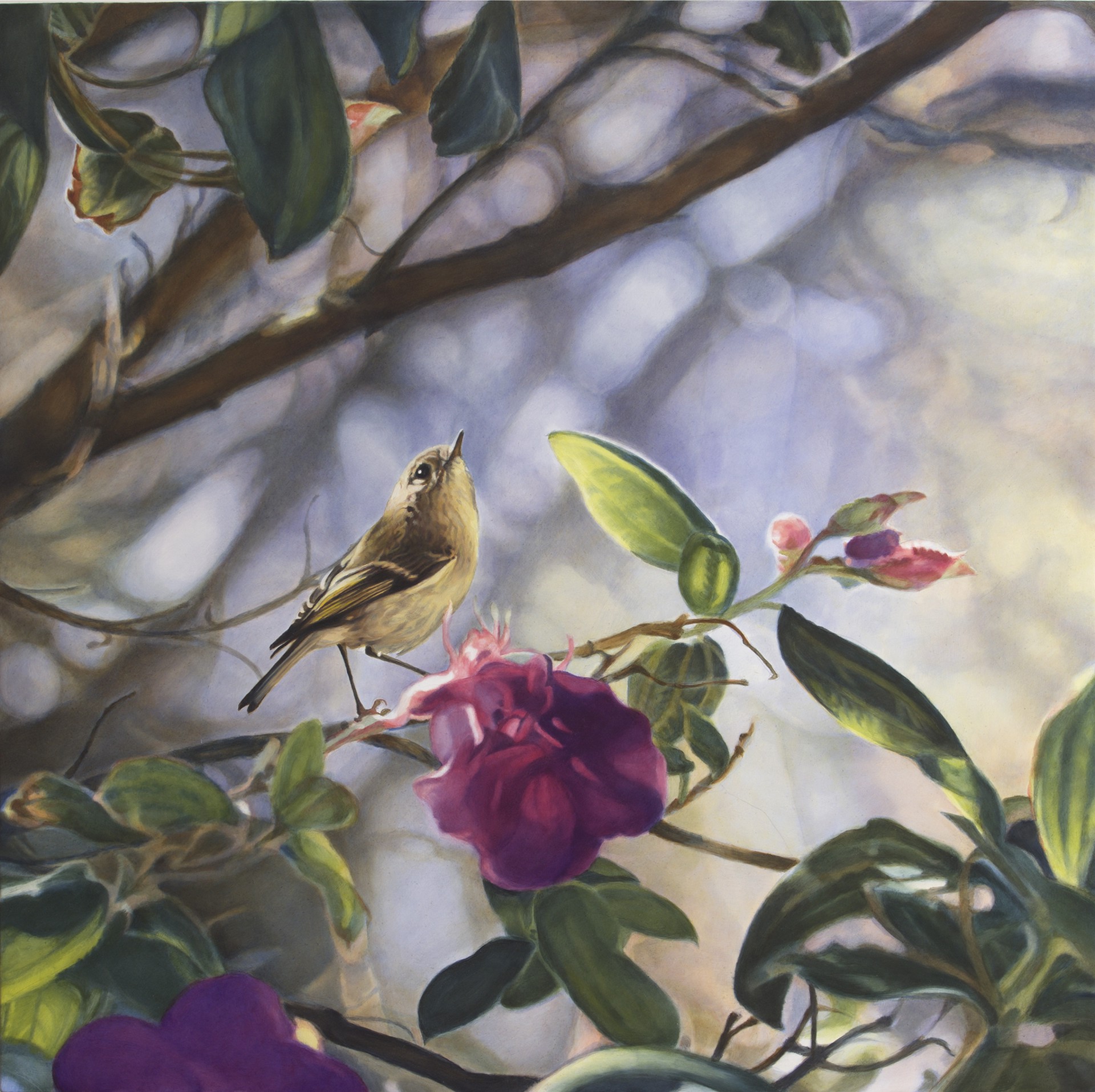 Ruby Crowned Kinglet I by Diane Andrews Hall