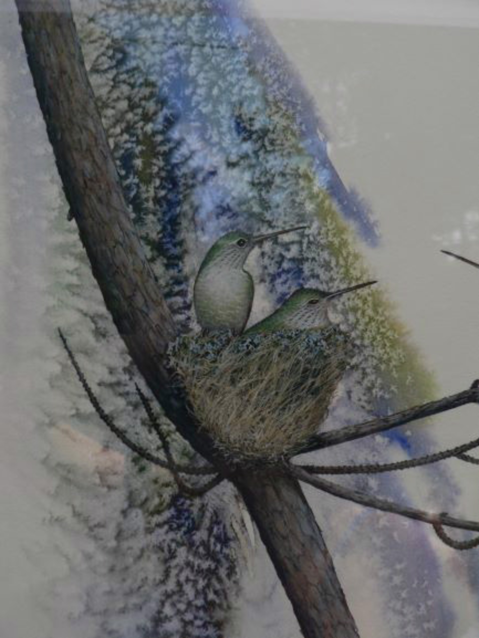 Hummingbird Nest by Barbara Radtke