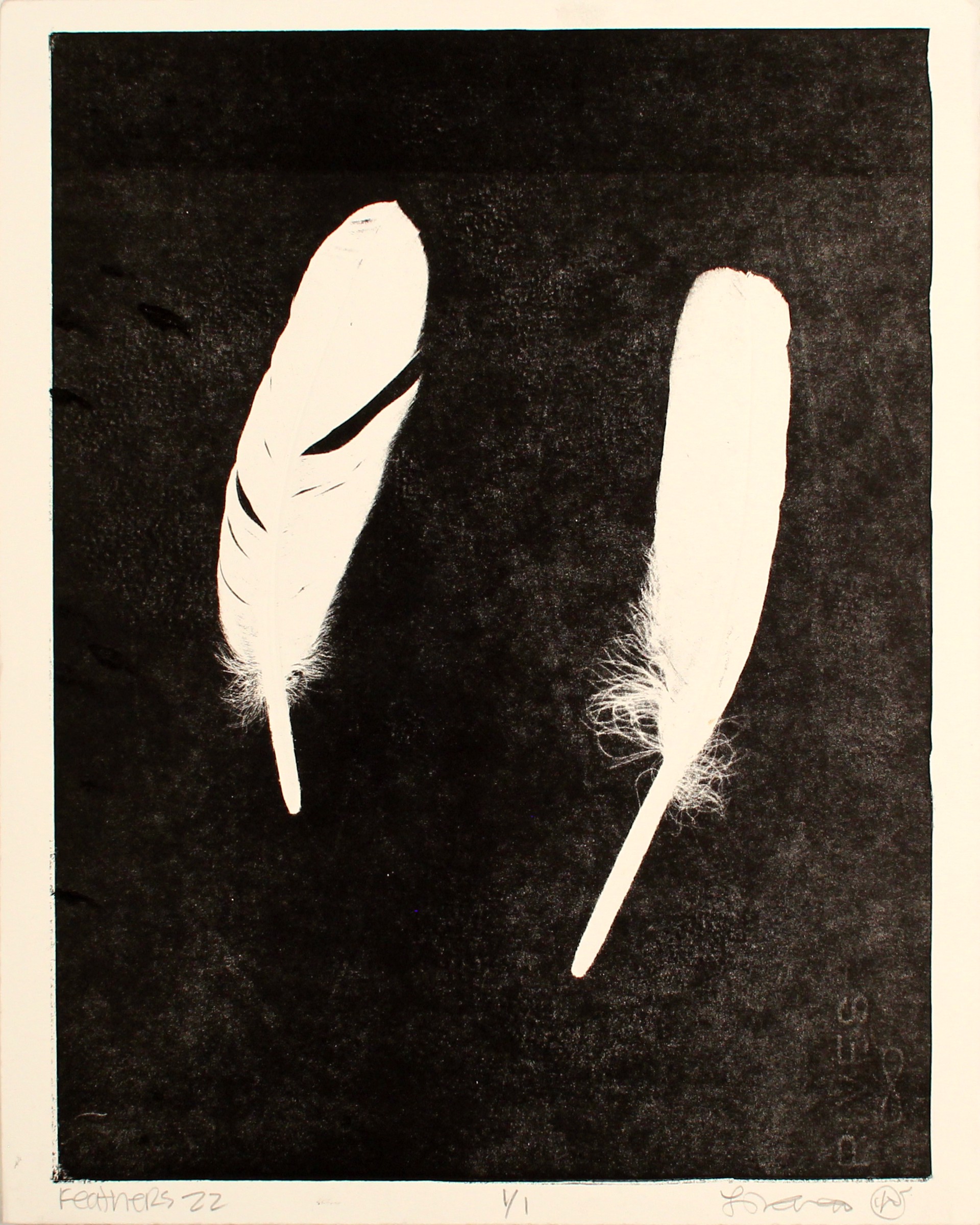 Feathers 22 II by Luis Garcia