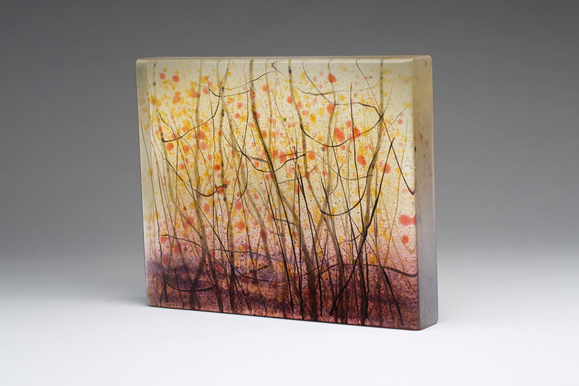 Autumn Birches by Angelita Surmon