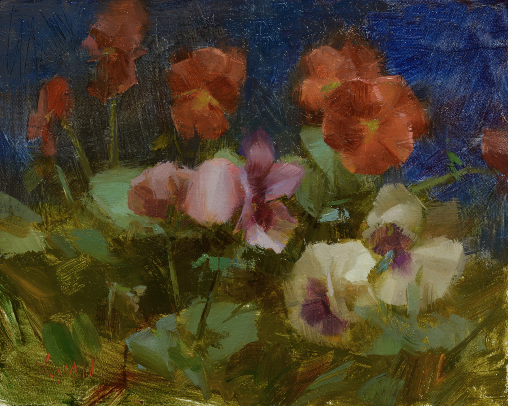 Pansies with Blue Background by Susan Lyon