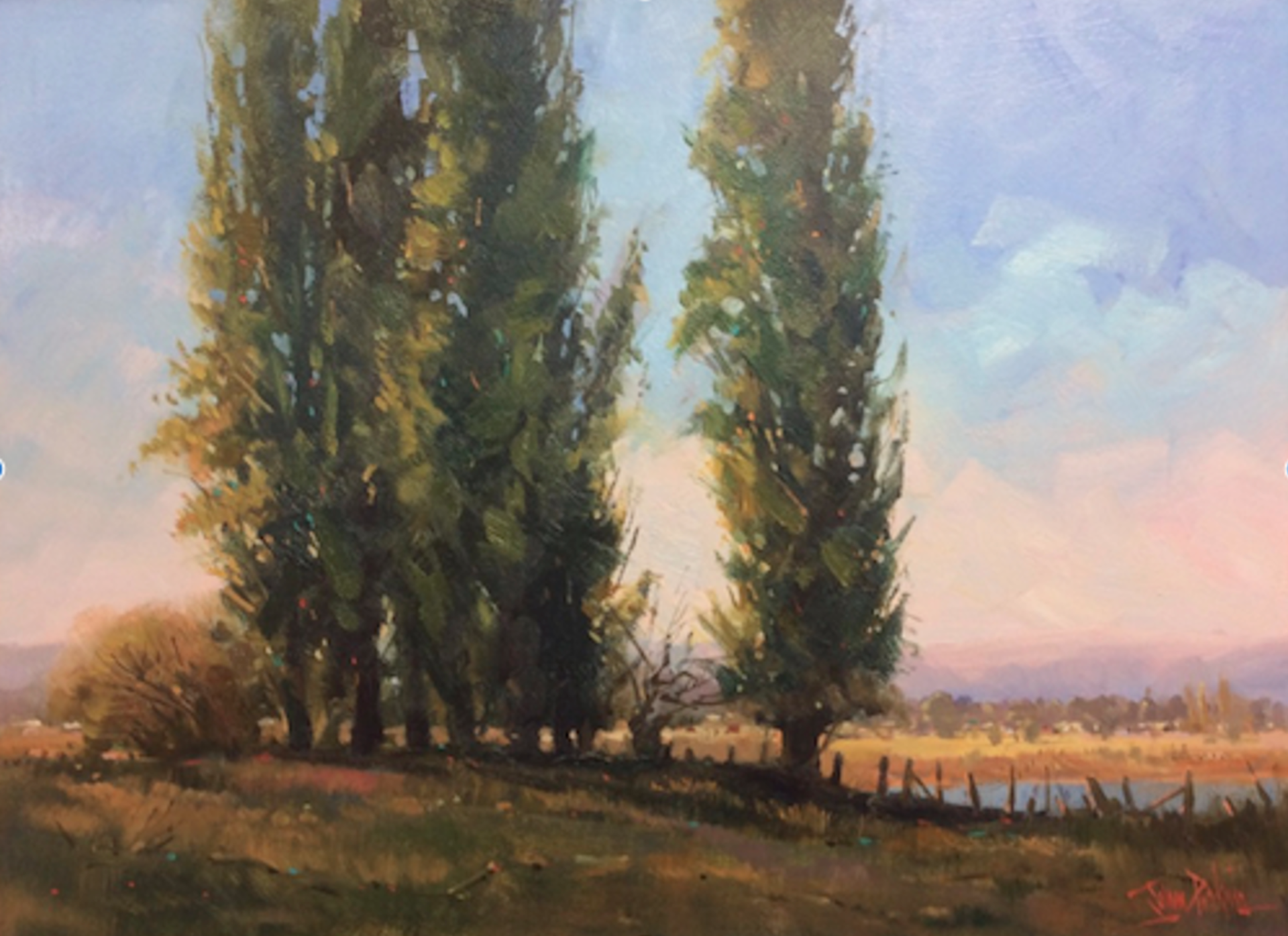 Poplars Tumut by John Perkins