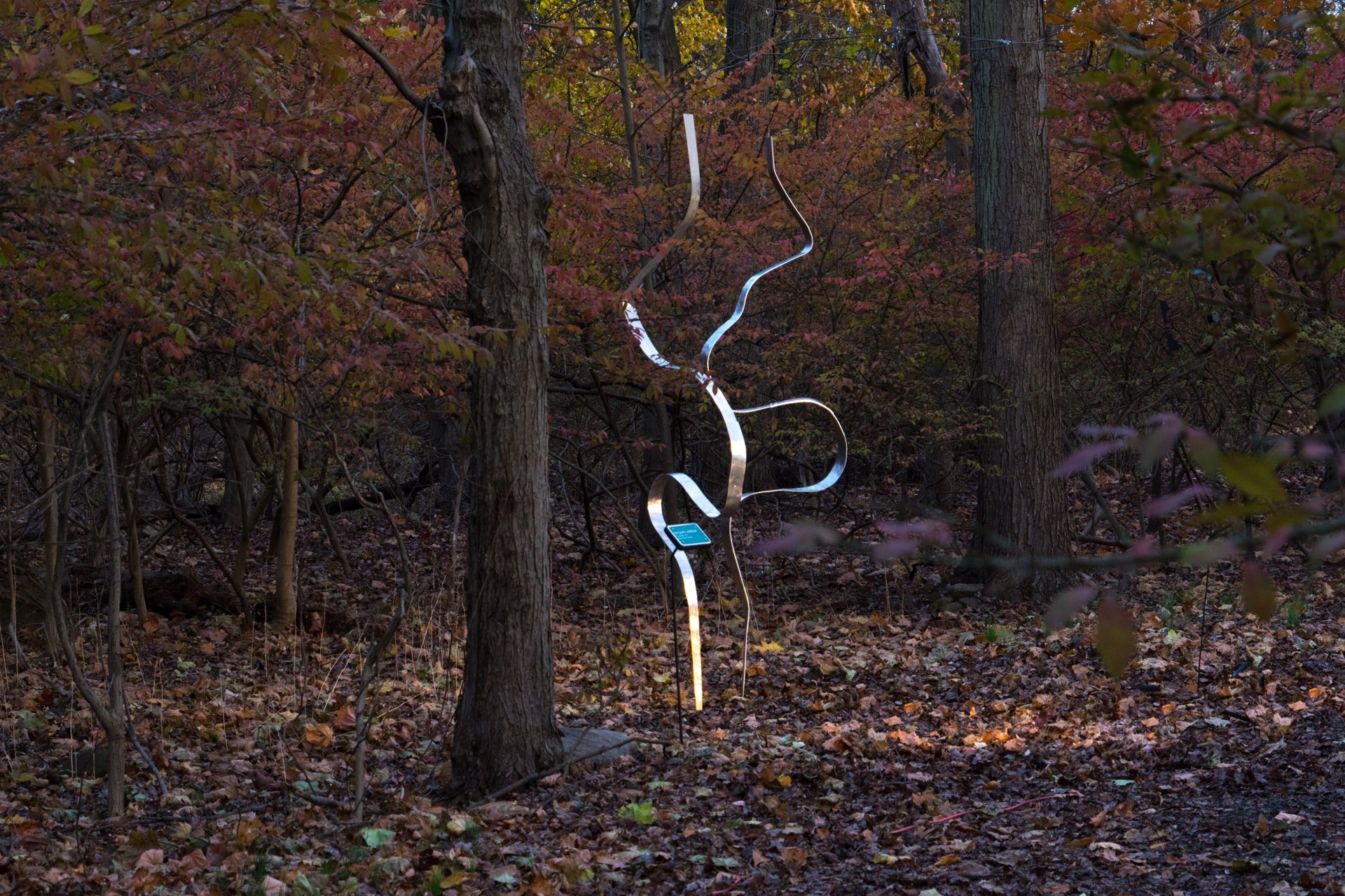 "Curves #4" Kinetic Sculpture by Jacques Jarrige