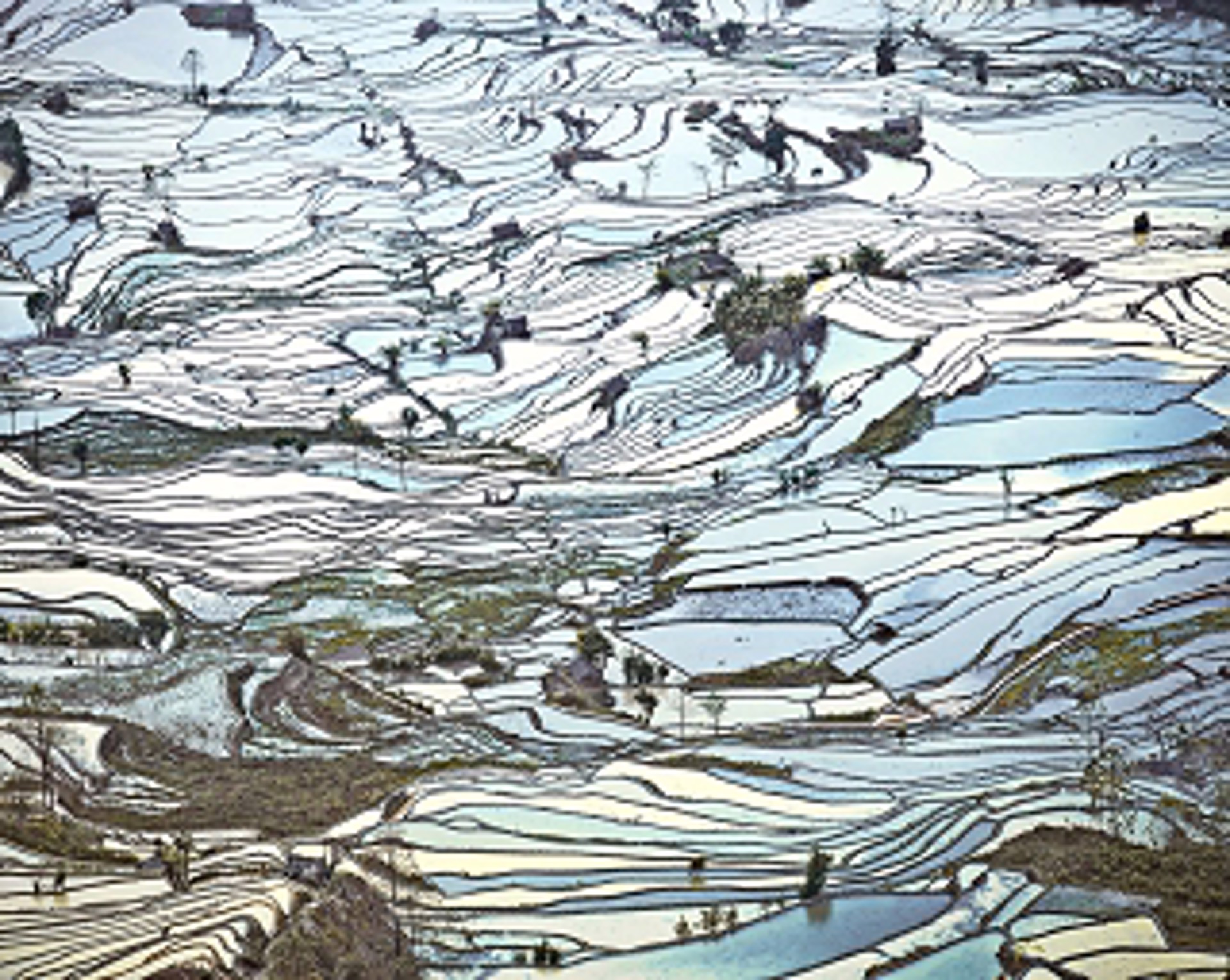 Rice Terraces, Laohuzui II, Yunnan,  China, 2013 by David Burdeny