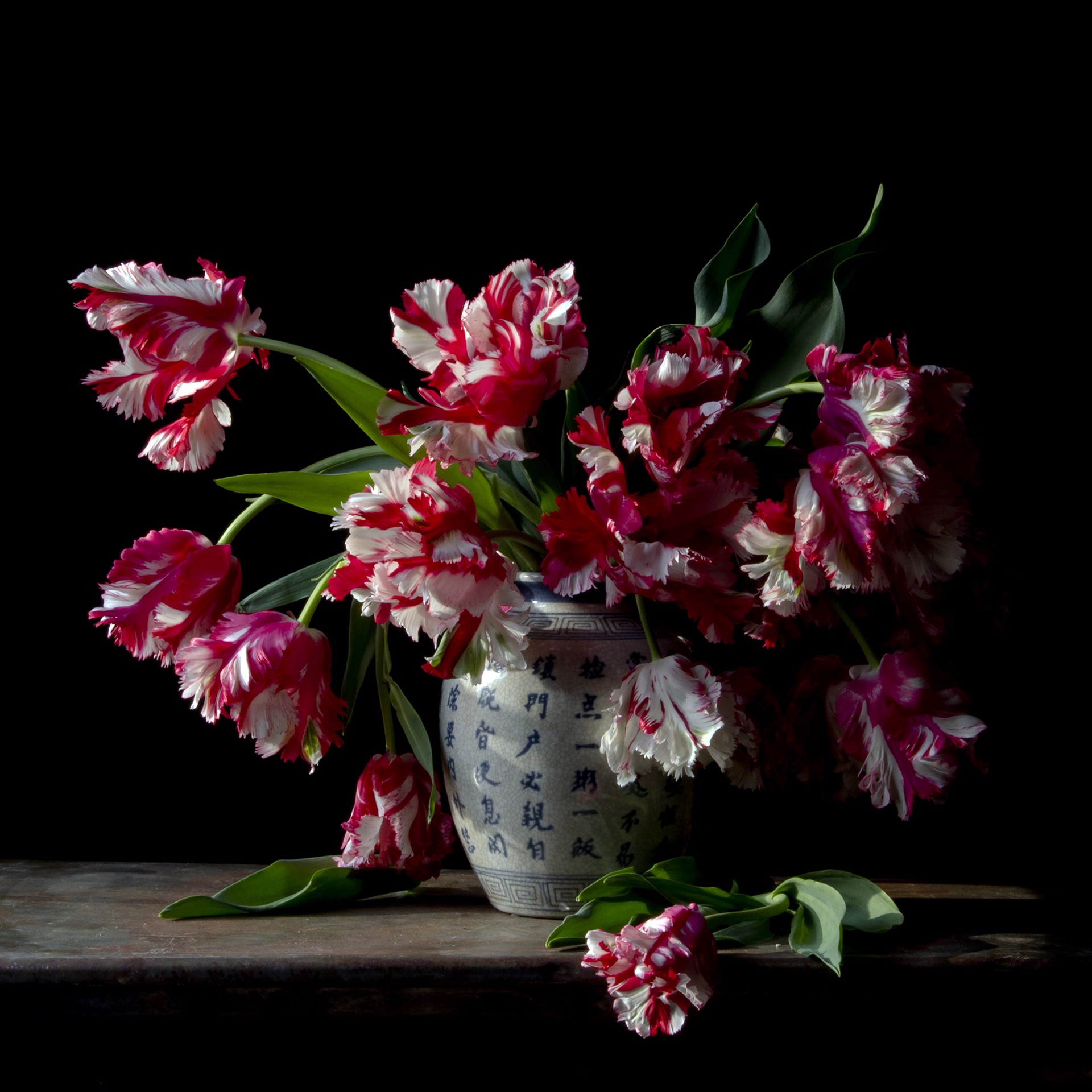 Vanitas with Estella Rjinveld Tulips by Molly Wood