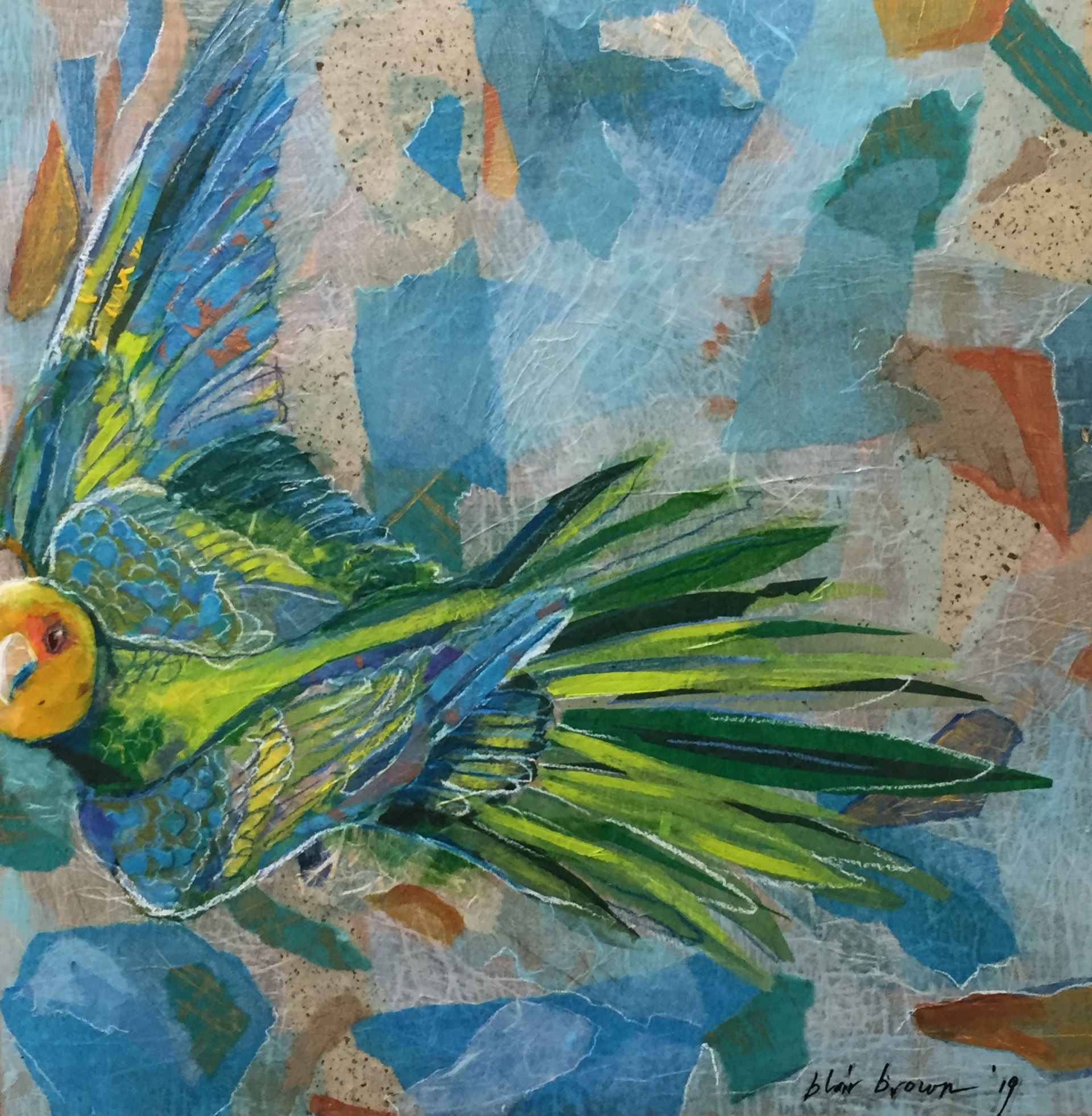 Carolina Parakeet 1 by Blair Brown
