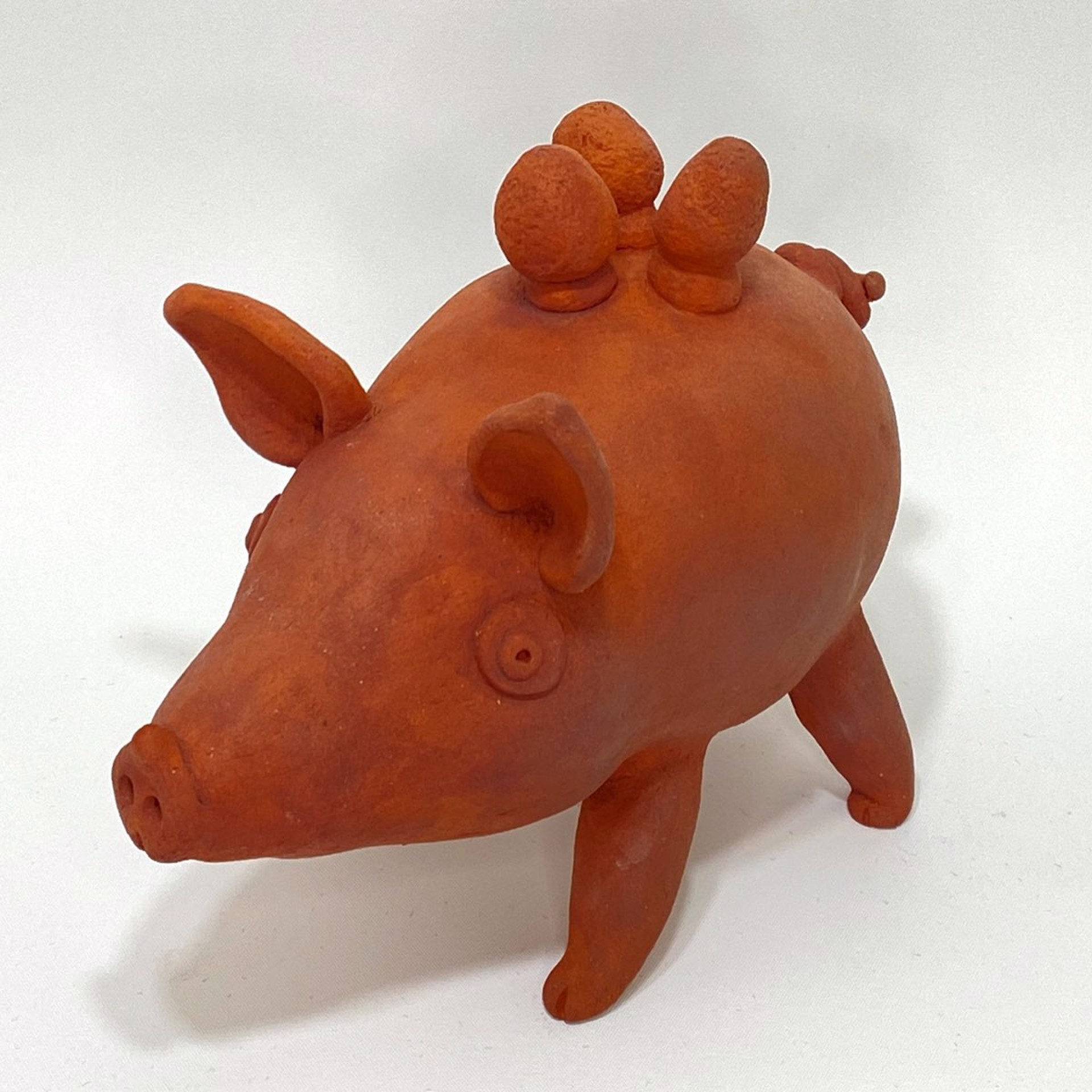 Truffle Pig by Sue Morse
