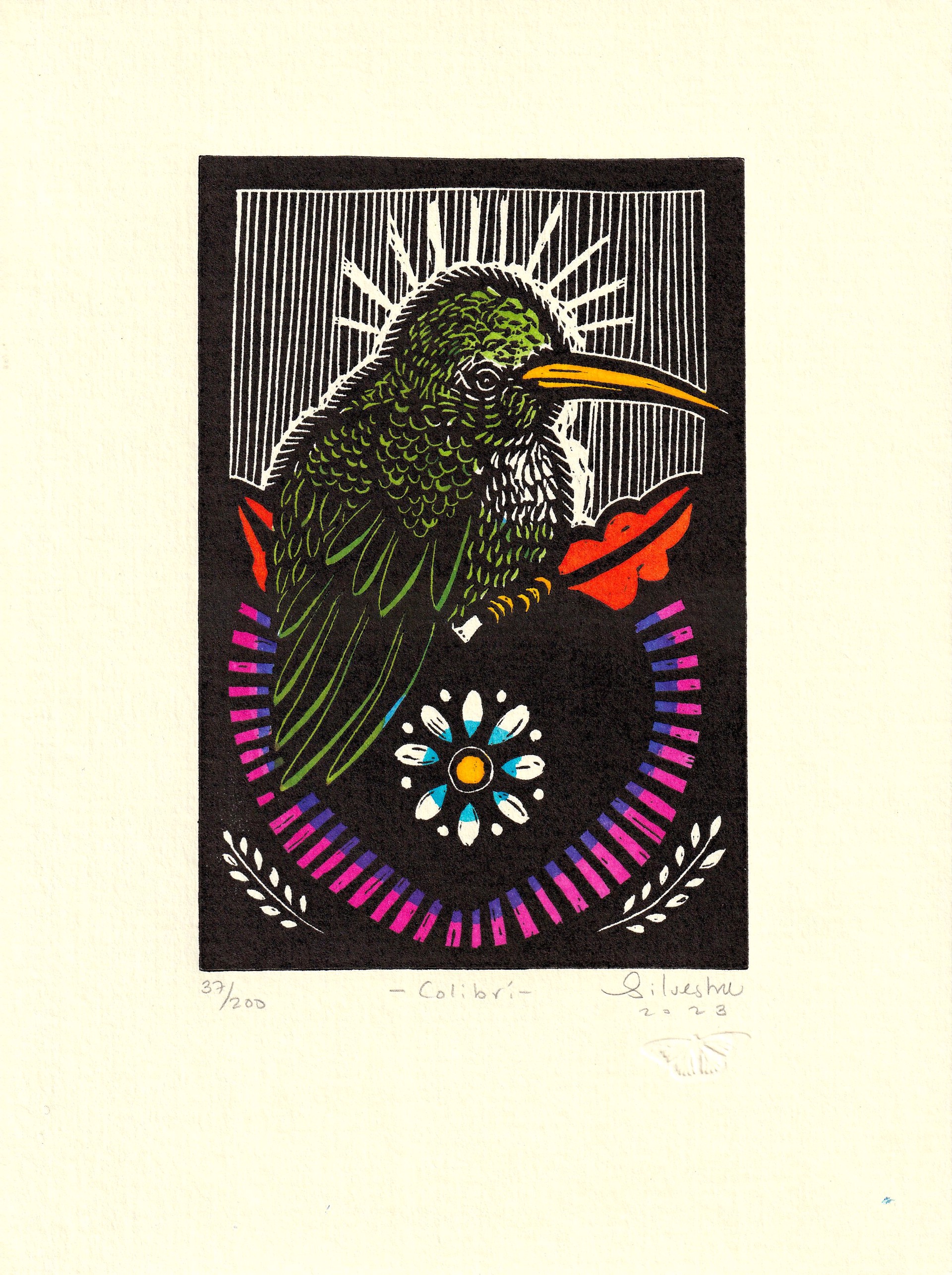 Colibri by Jainite Silvestre