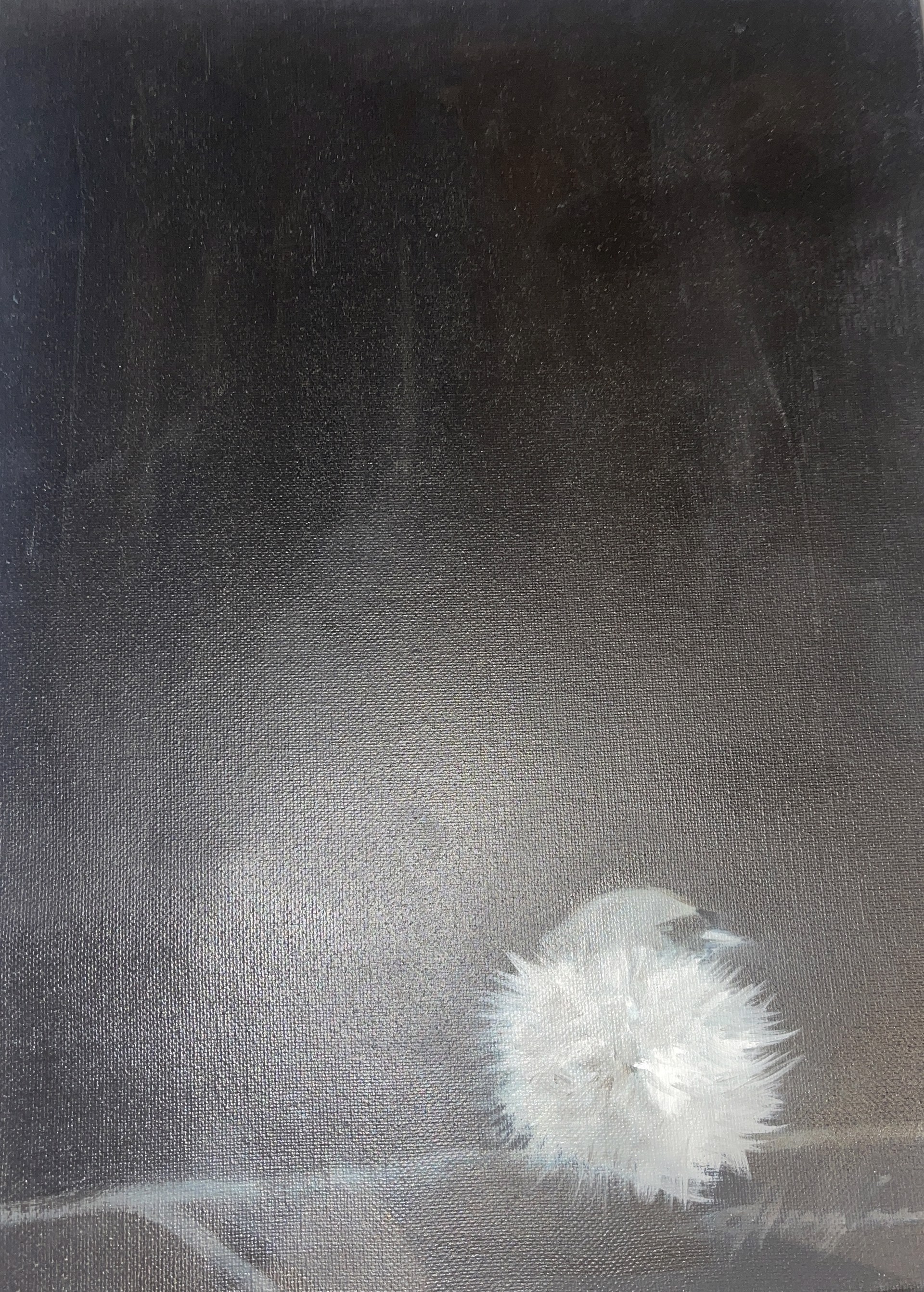 Little Wonder 11 by Donna Hughes